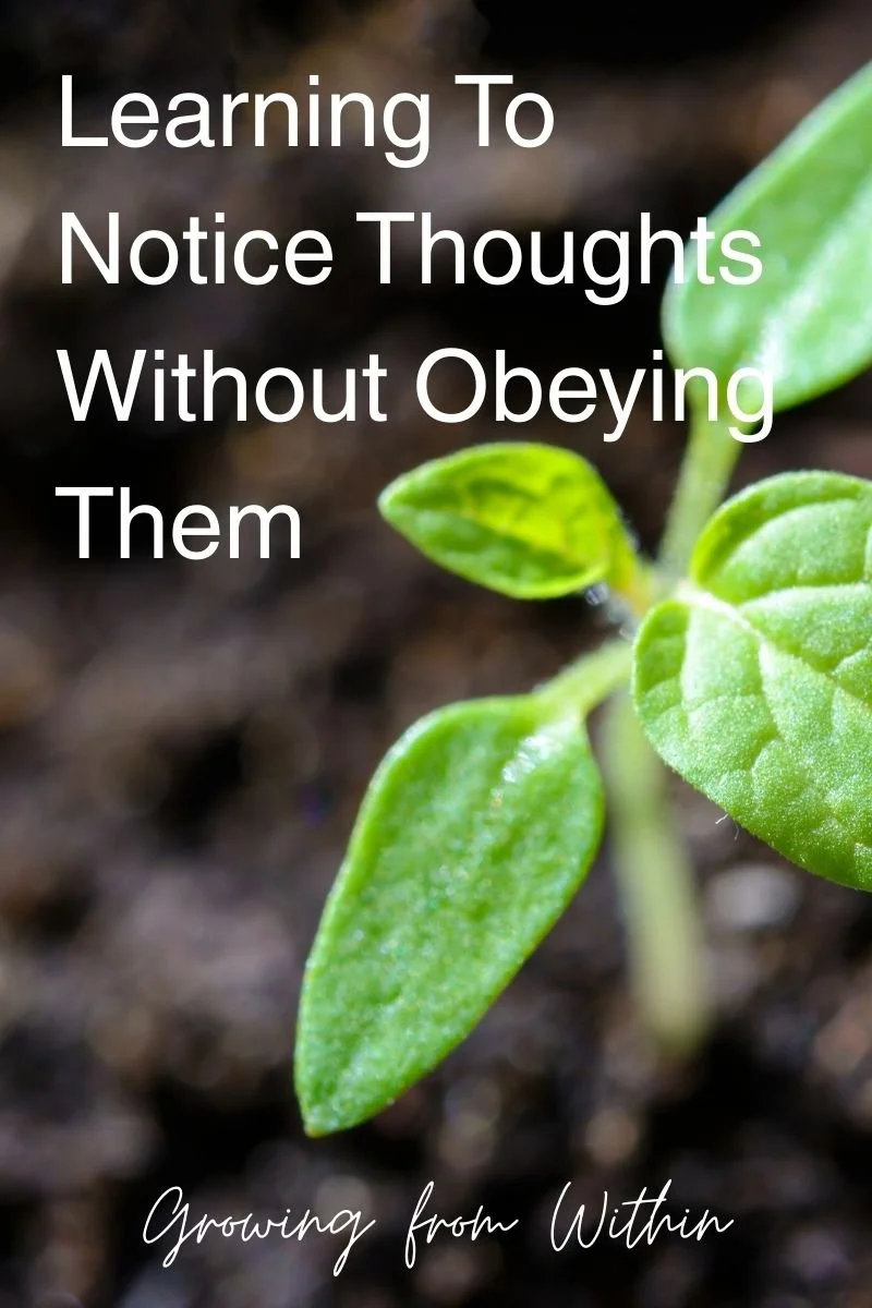 Learning To Notice Thoughts Without Obeying Them