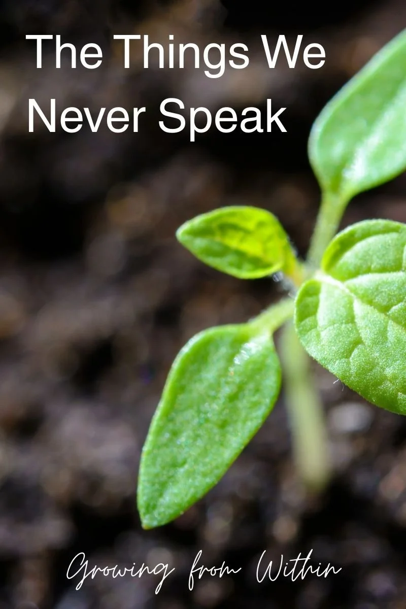 The Things We Never Speak