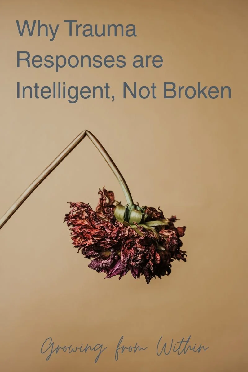 Why Trauma Responses are Intelligent, Not Broken