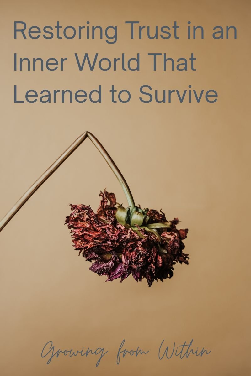 Restoring Trust in an Inner World That Learned to Survive