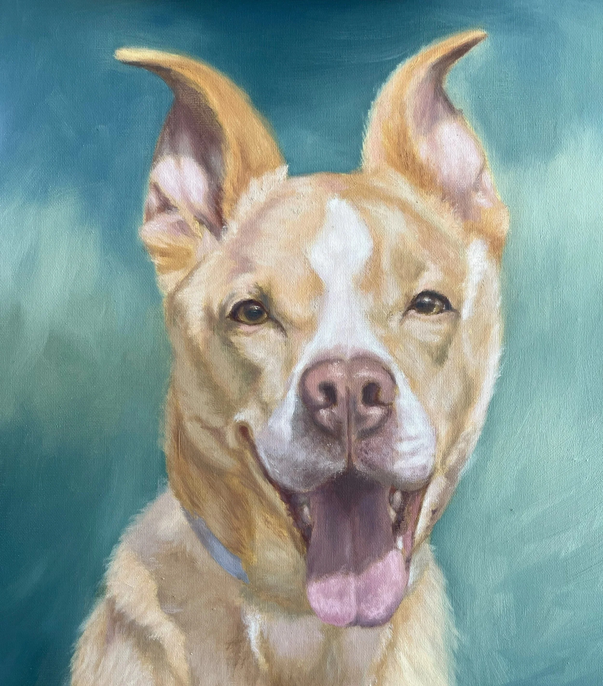 Cooper (Shanna) Website.jpg