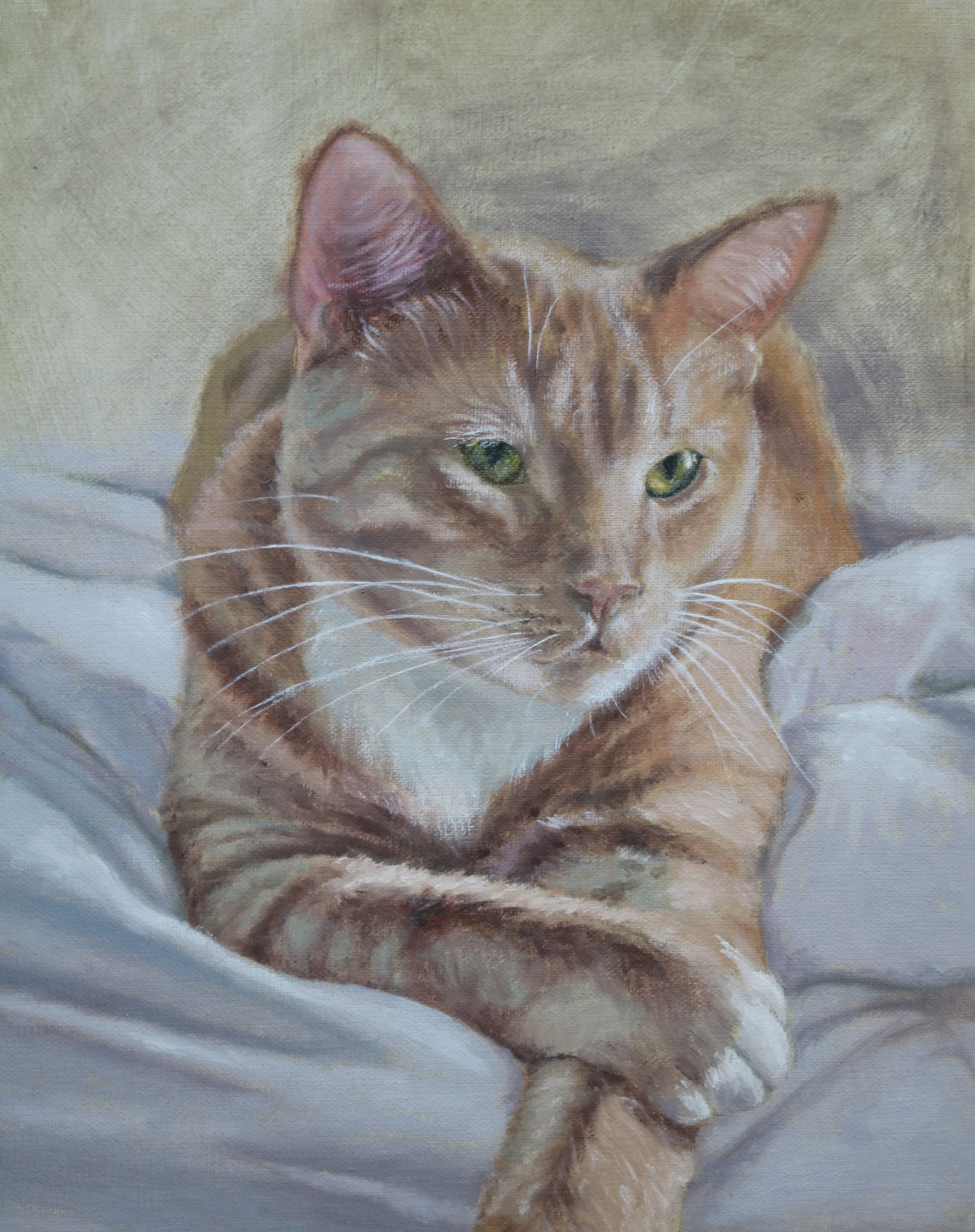 Cat Portrait.JPG