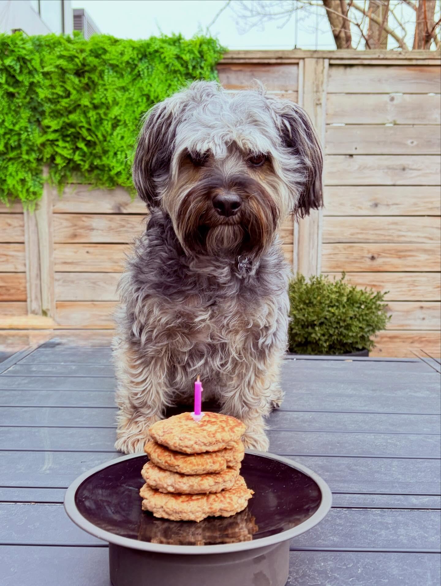 Piperi turned 6️⃣ and celebrated with a turkey burger cake!
