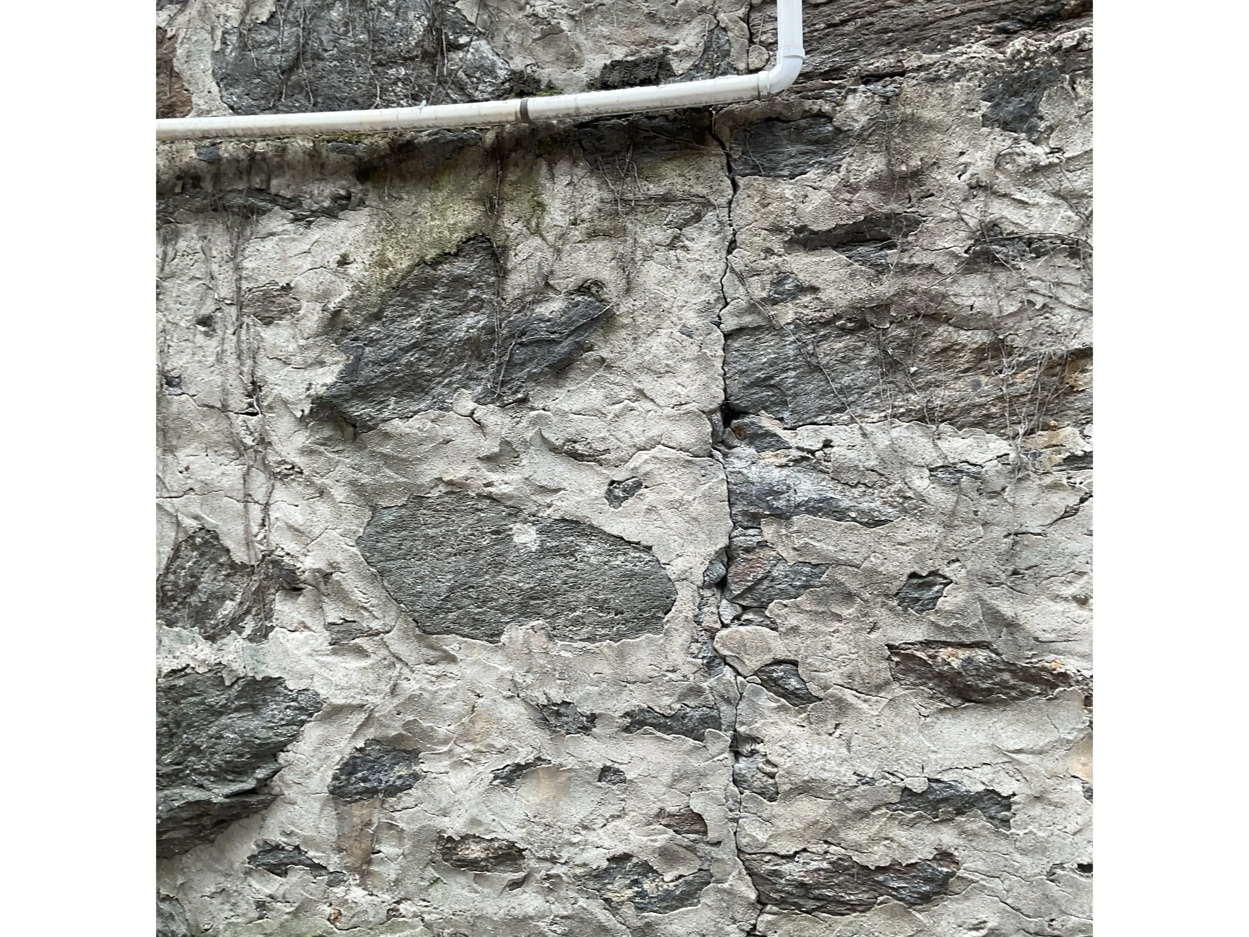 2026_02_19T21_16_42 (2).jpeg