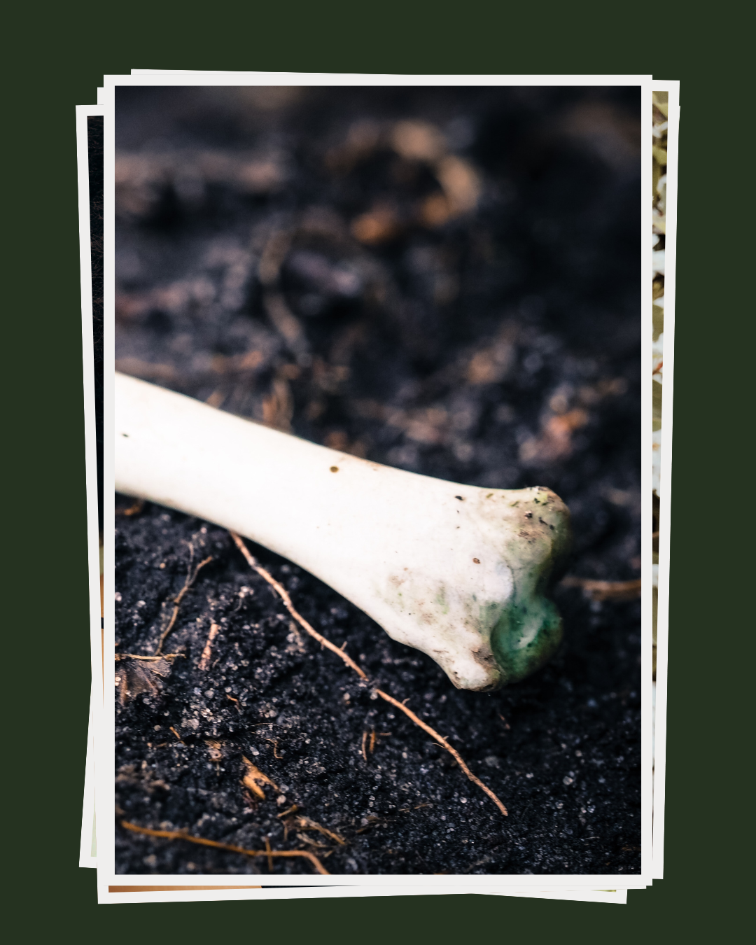Bone.png