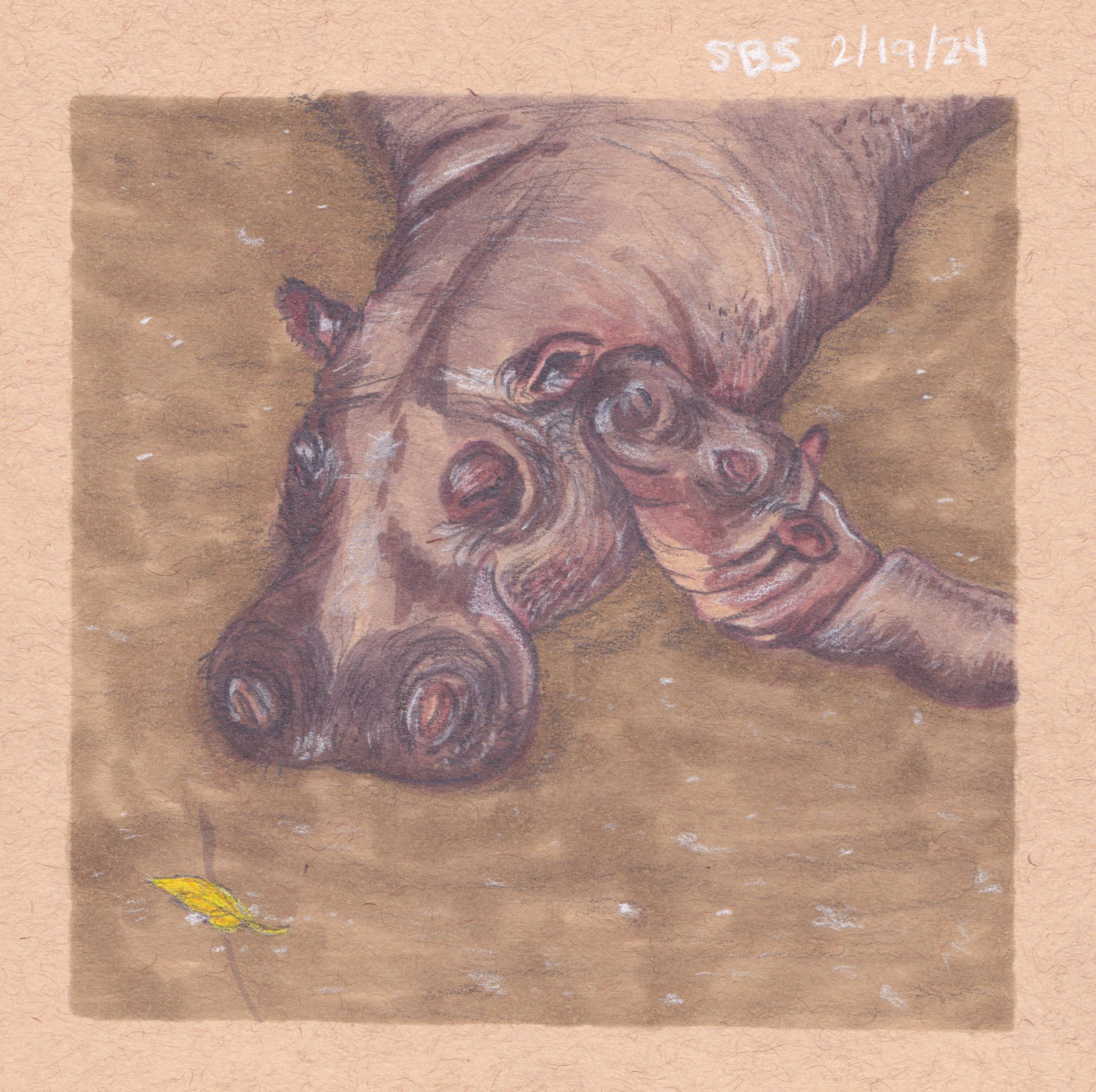 Sketchbook Squad W07 D06.jpg