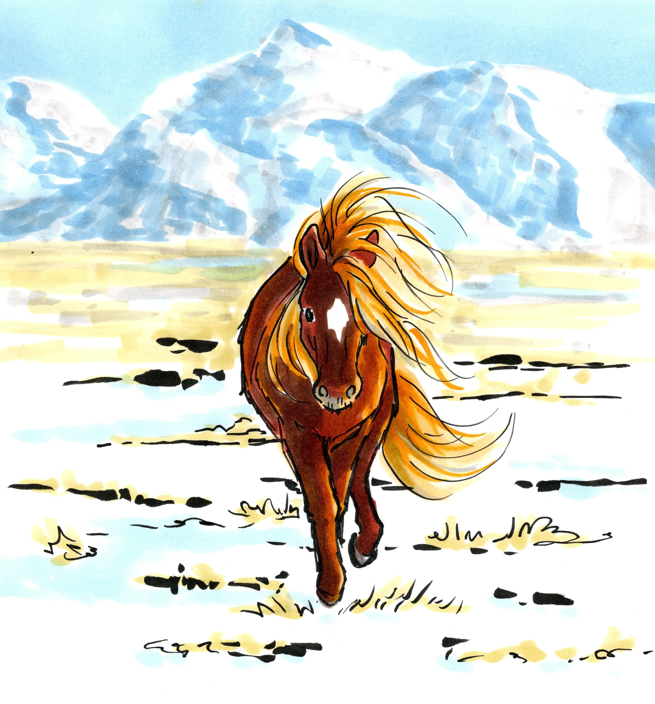 25-26 Fellows Animals Kaycee.jpg