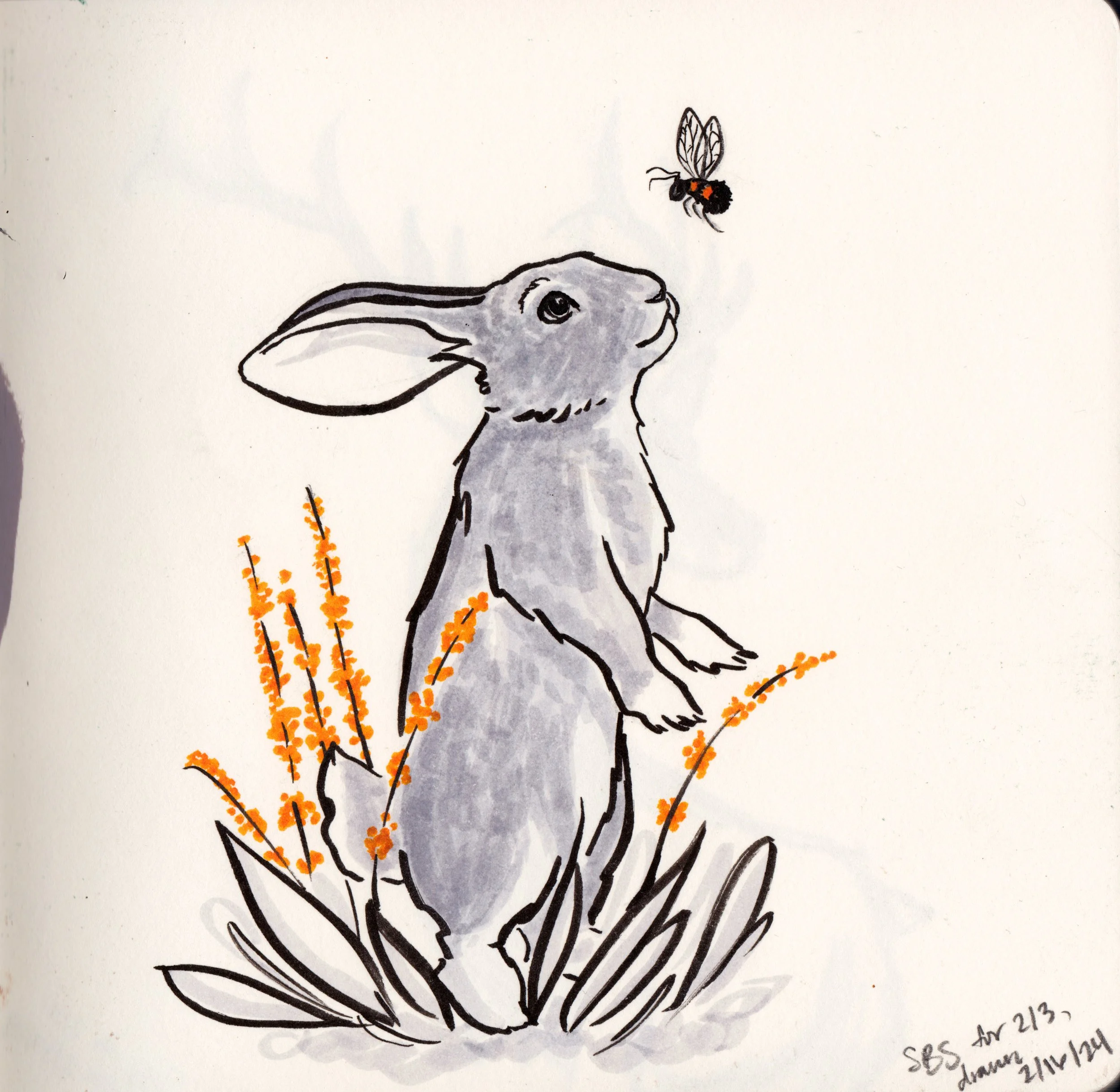 Sketchbook Squad W05 D04.jpg