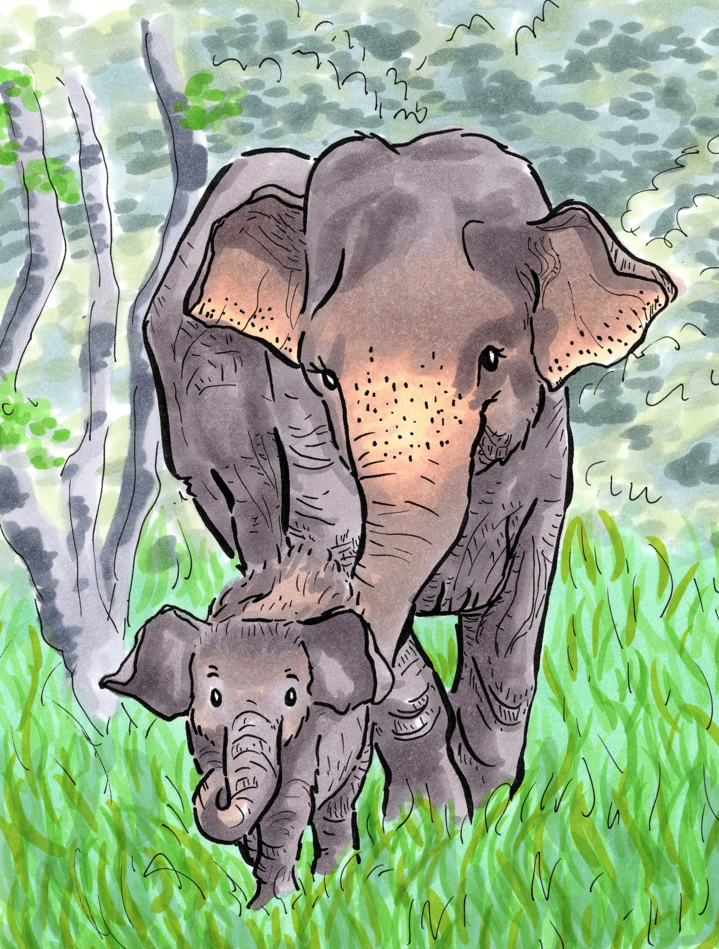 25-26 Fellows Animals Pranita.jpg
