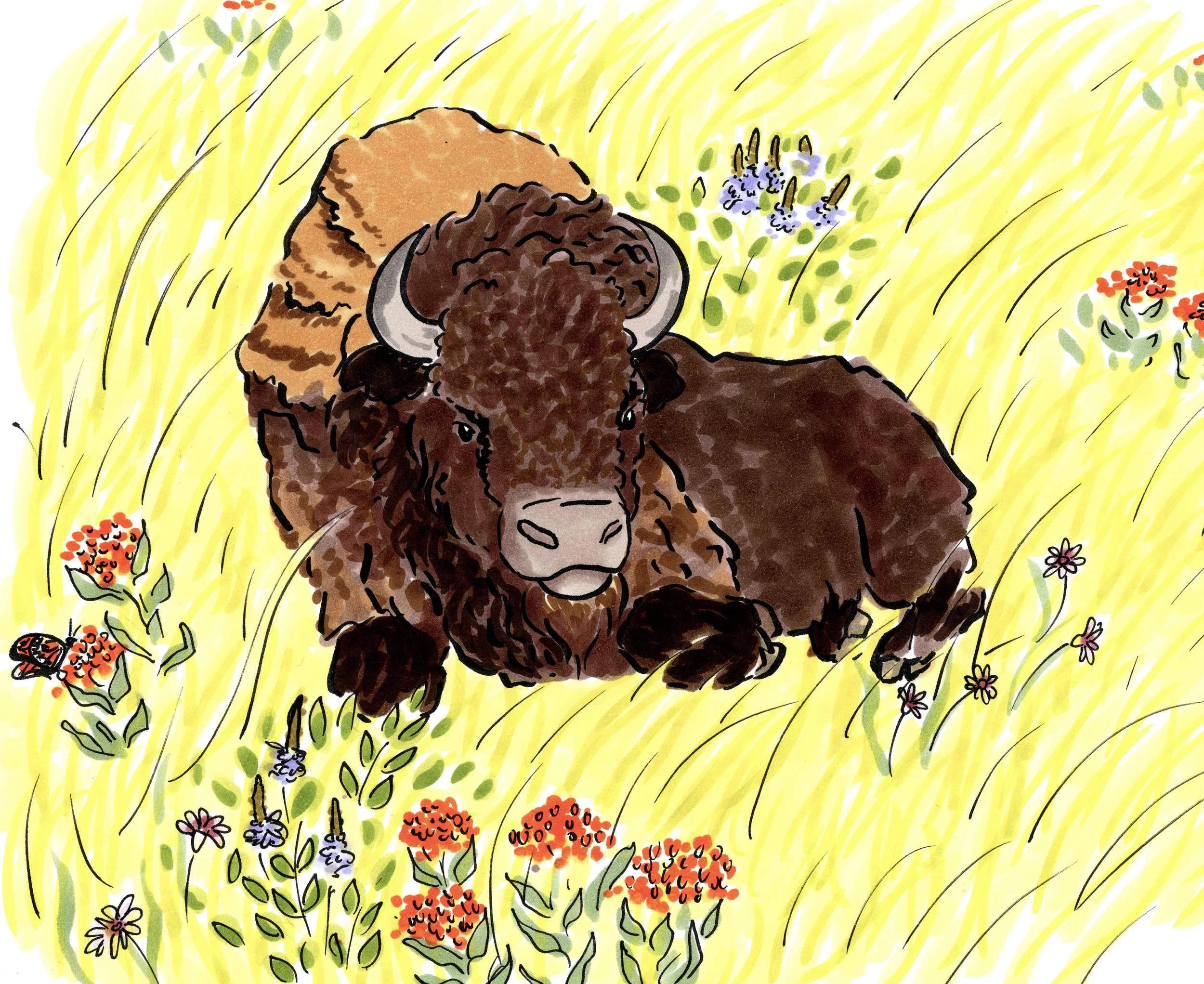25-26 Fellows Animals Jayme.jpg