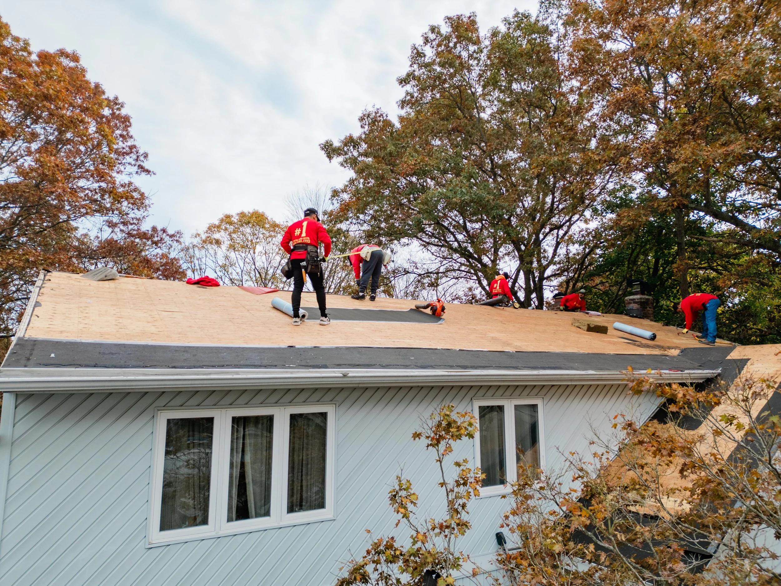 Responsible Remodeling Workers Securing Wood Panels On Roof