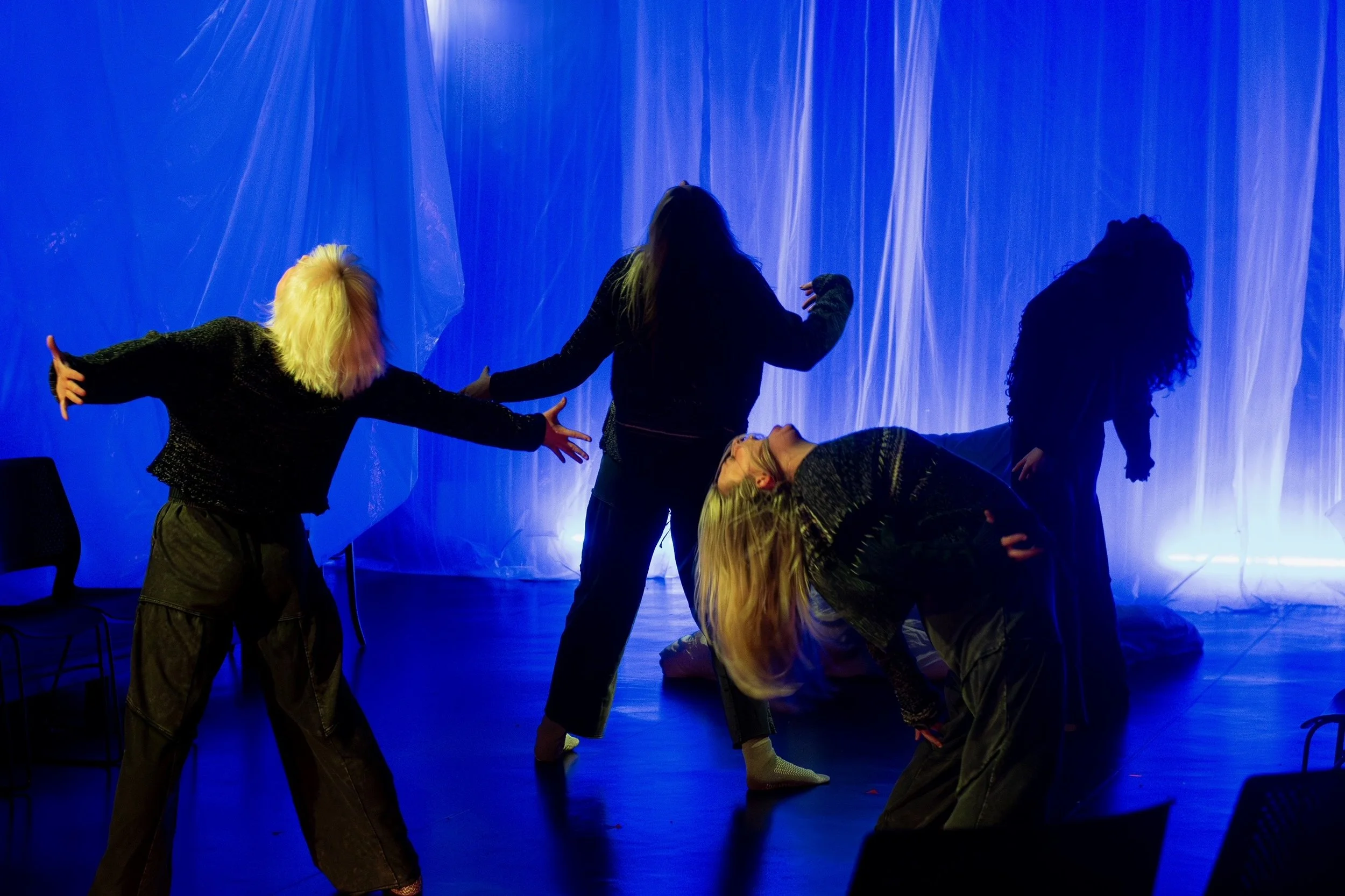 4.48 Psychosis. Backyard Theater. Bramble The Berry Stage. Photo by Brandii Champagne