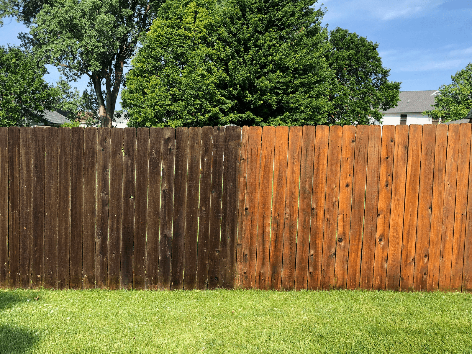A wooden fence with two different shades, dark on the left and reddish-brown on the right, in a backyard with green grass and trees in the background under a blue sky.