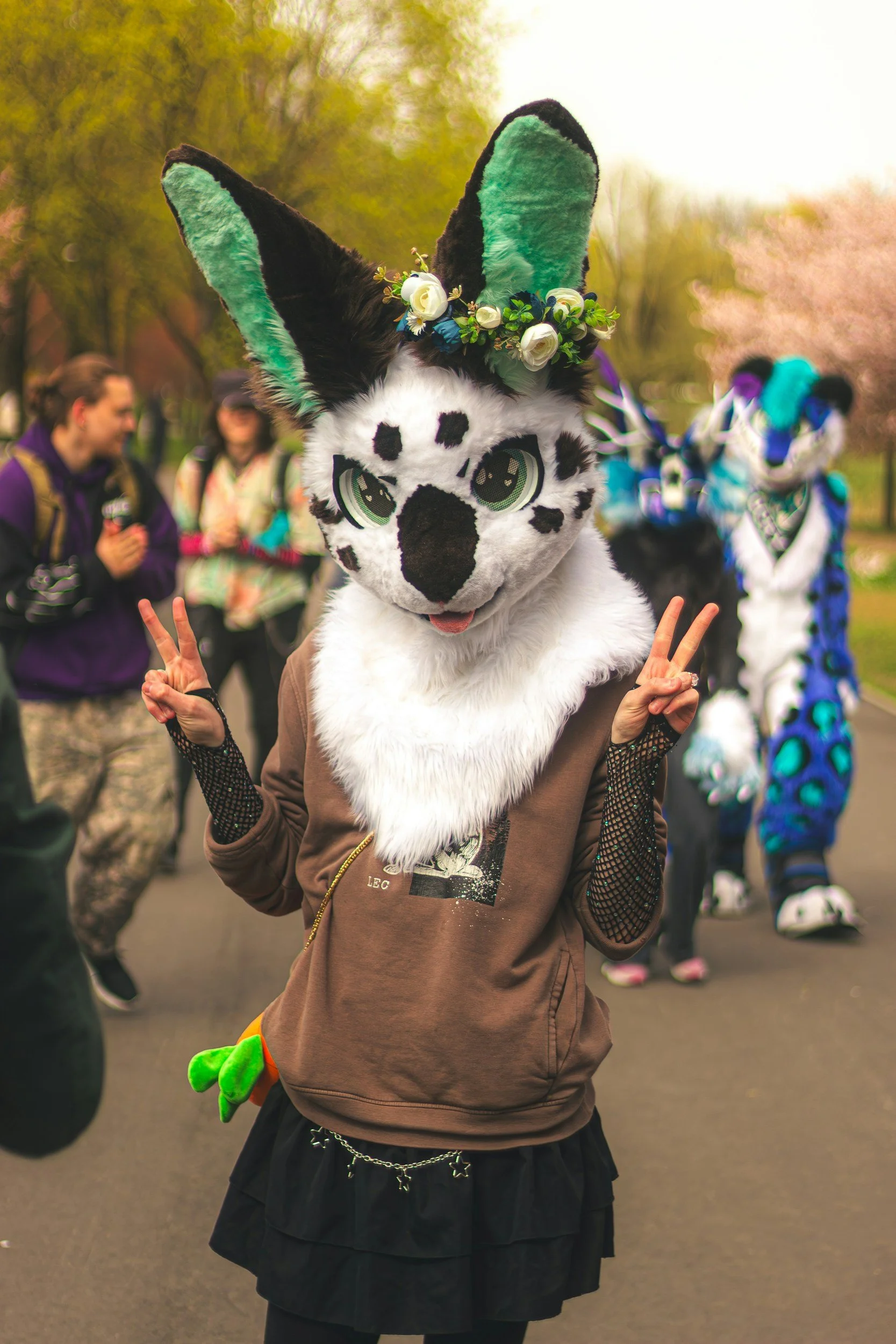Embracing Identity and Social Growth: the Furry Community