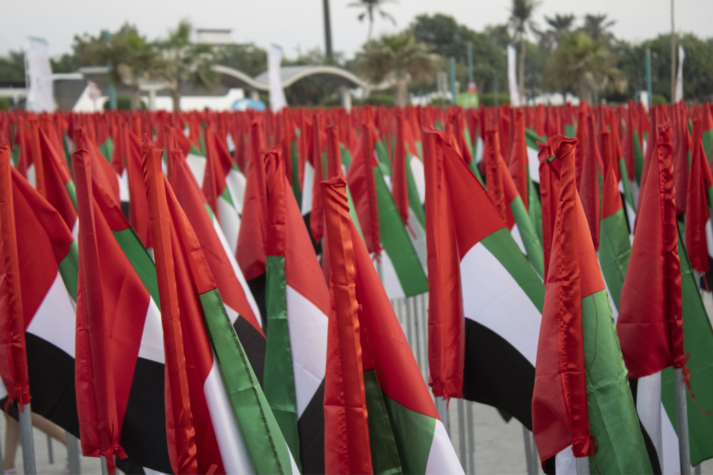 UEA_Flag_Day_2024_Flag_Garden_ZayedAndRashid_Martyn_White_UAE_8.JPG