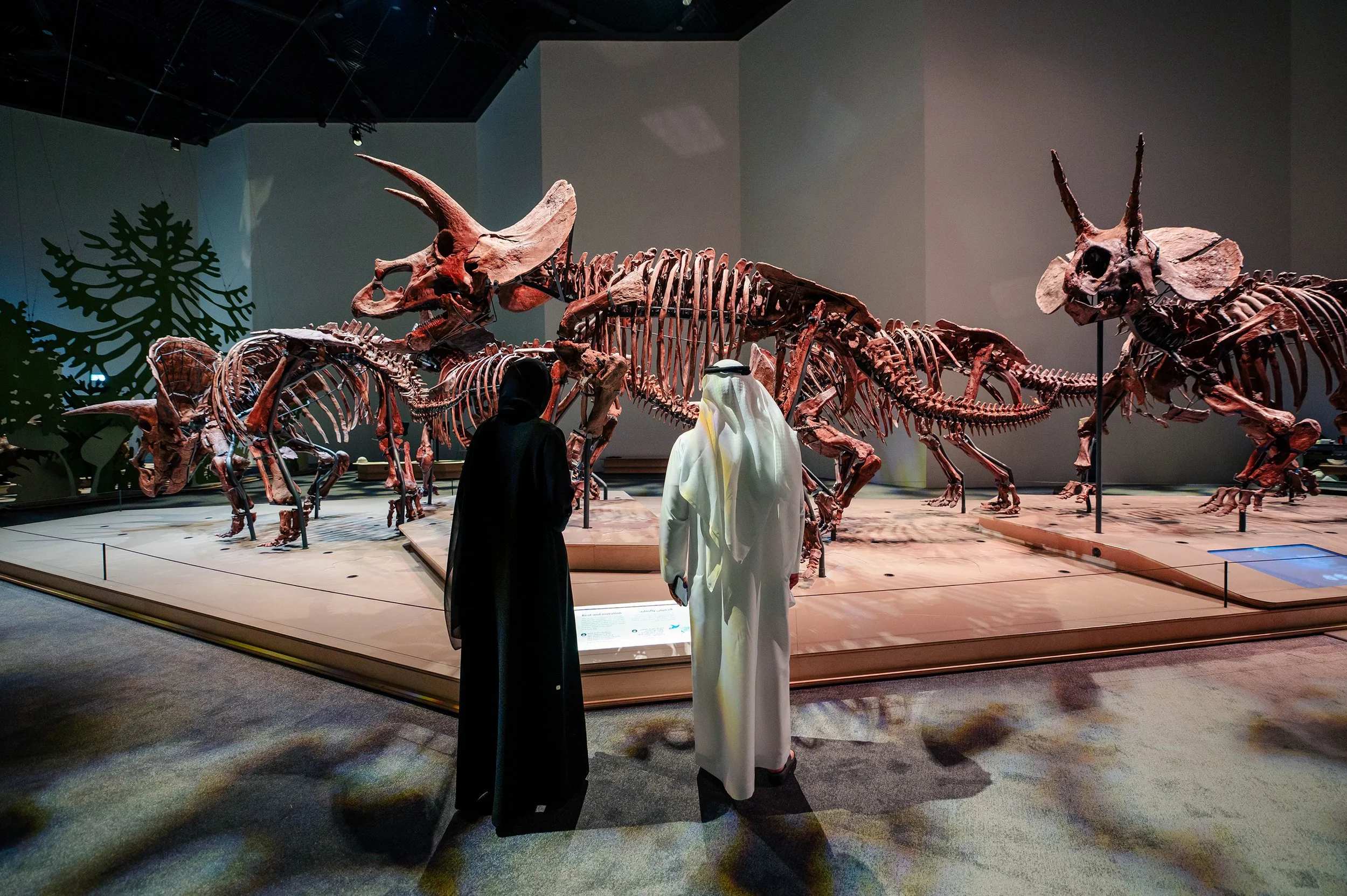 natural-history-museum-abu-dhabi-inside-martyn-white-uae-3.jpg