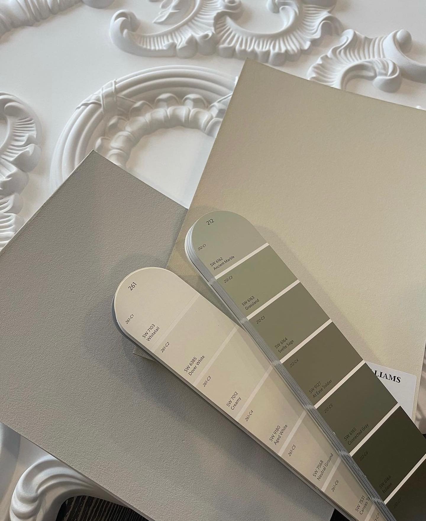 Paint mood #interiordesign #paint #sherwinwilliams #toronto