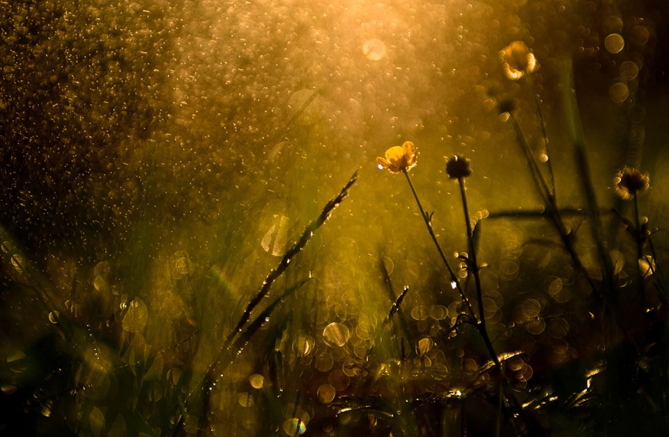 &ldquo;Love, it is safe to feel. Be not afraid of pain. Understand that healing is through the tears. You cannot have a rainbow without the rain. My love, I know it has been difficult. I know it does not make sense. I know it has been hard. My love, 