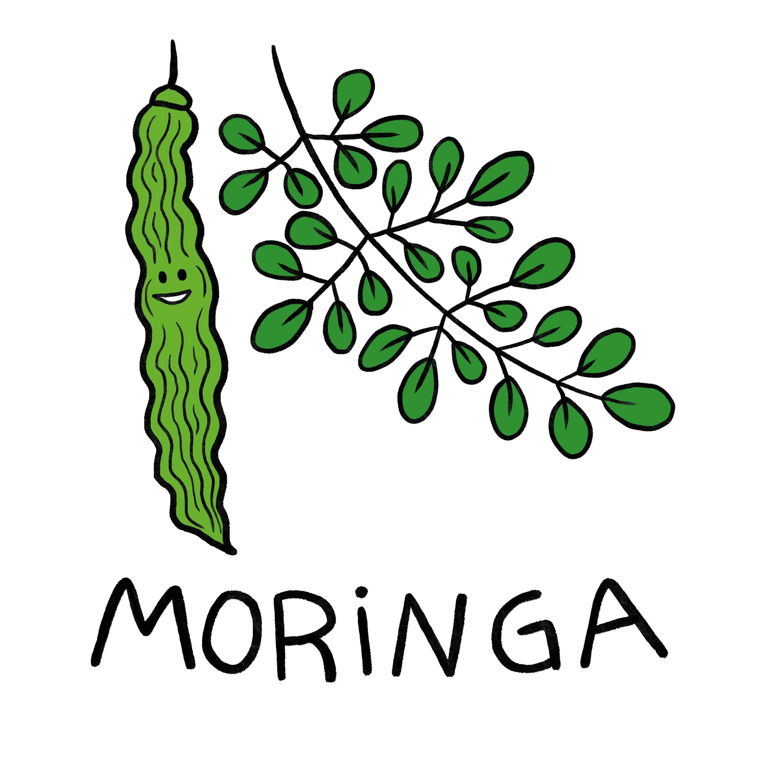 moringa.jpg