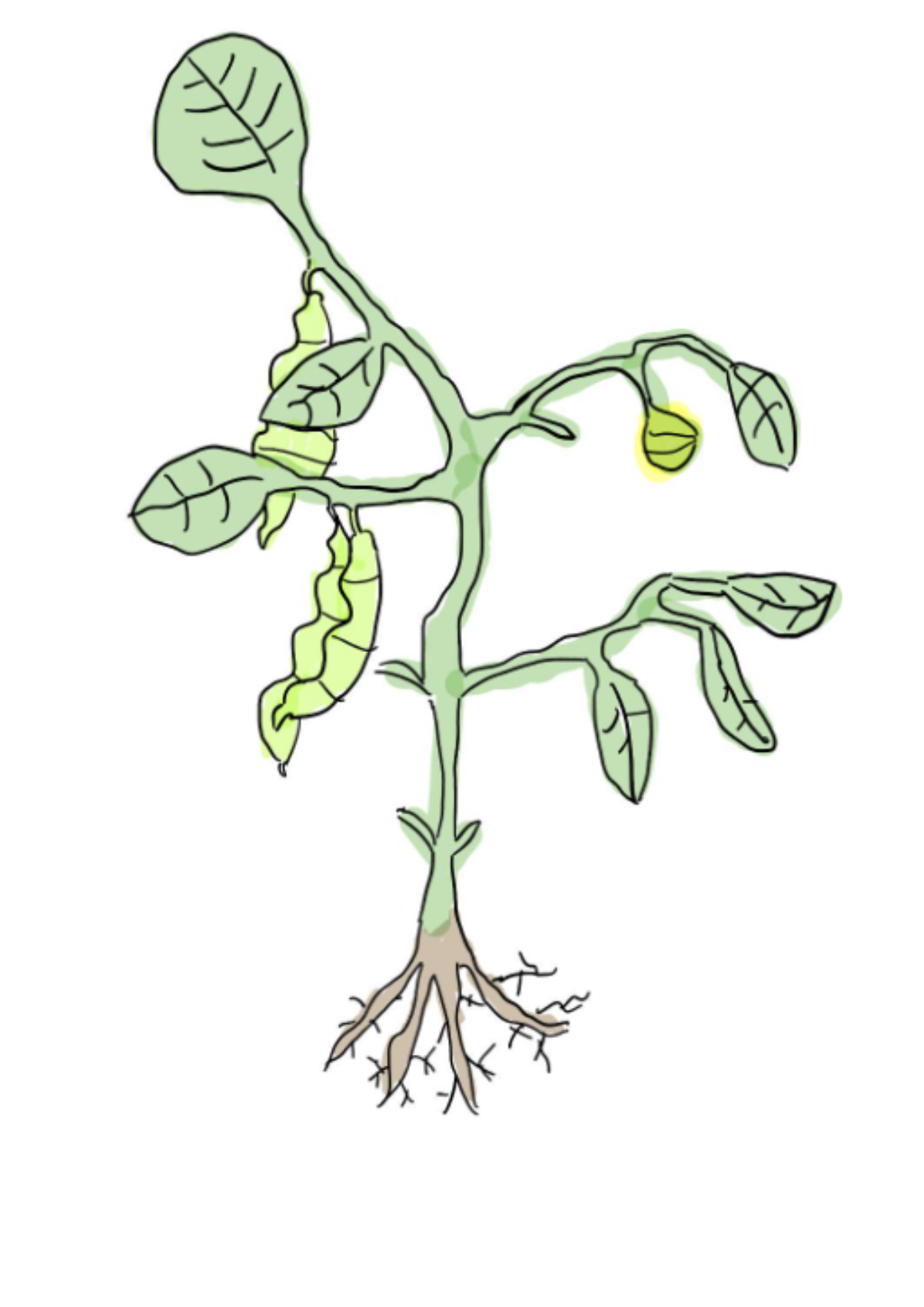 Screenshot 2025-11-16 at 21.59.26.png