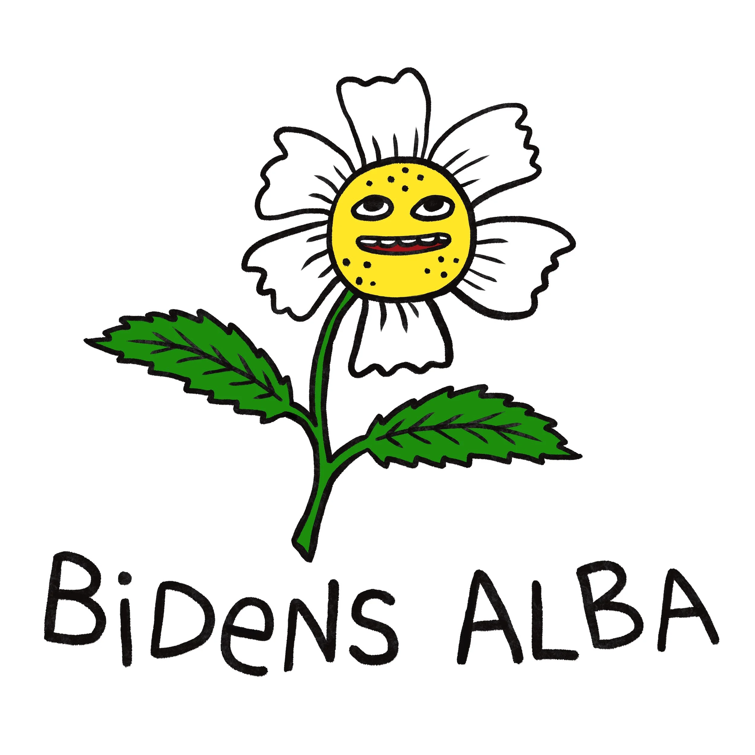 bidens.jpg