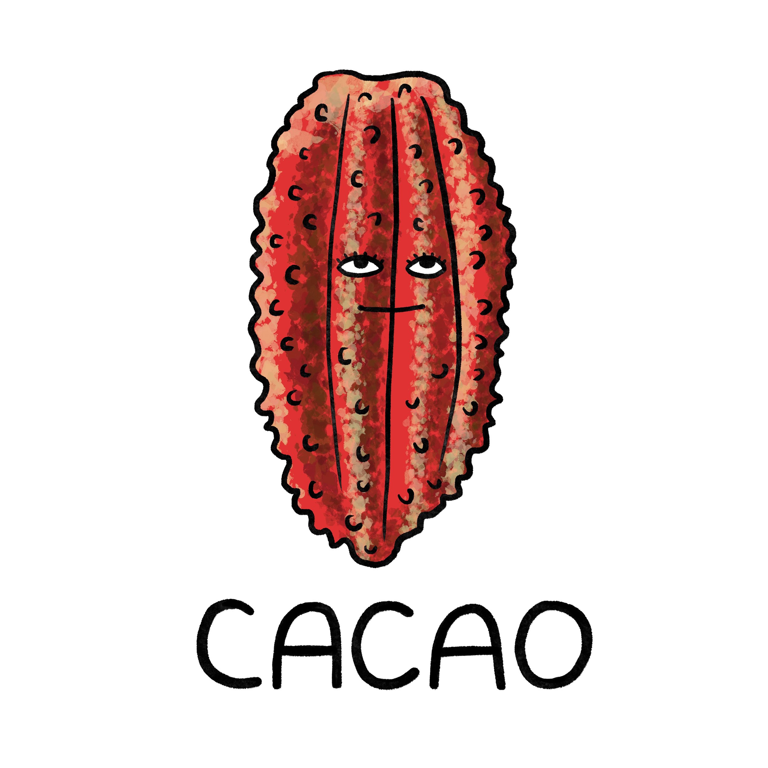 Cacao