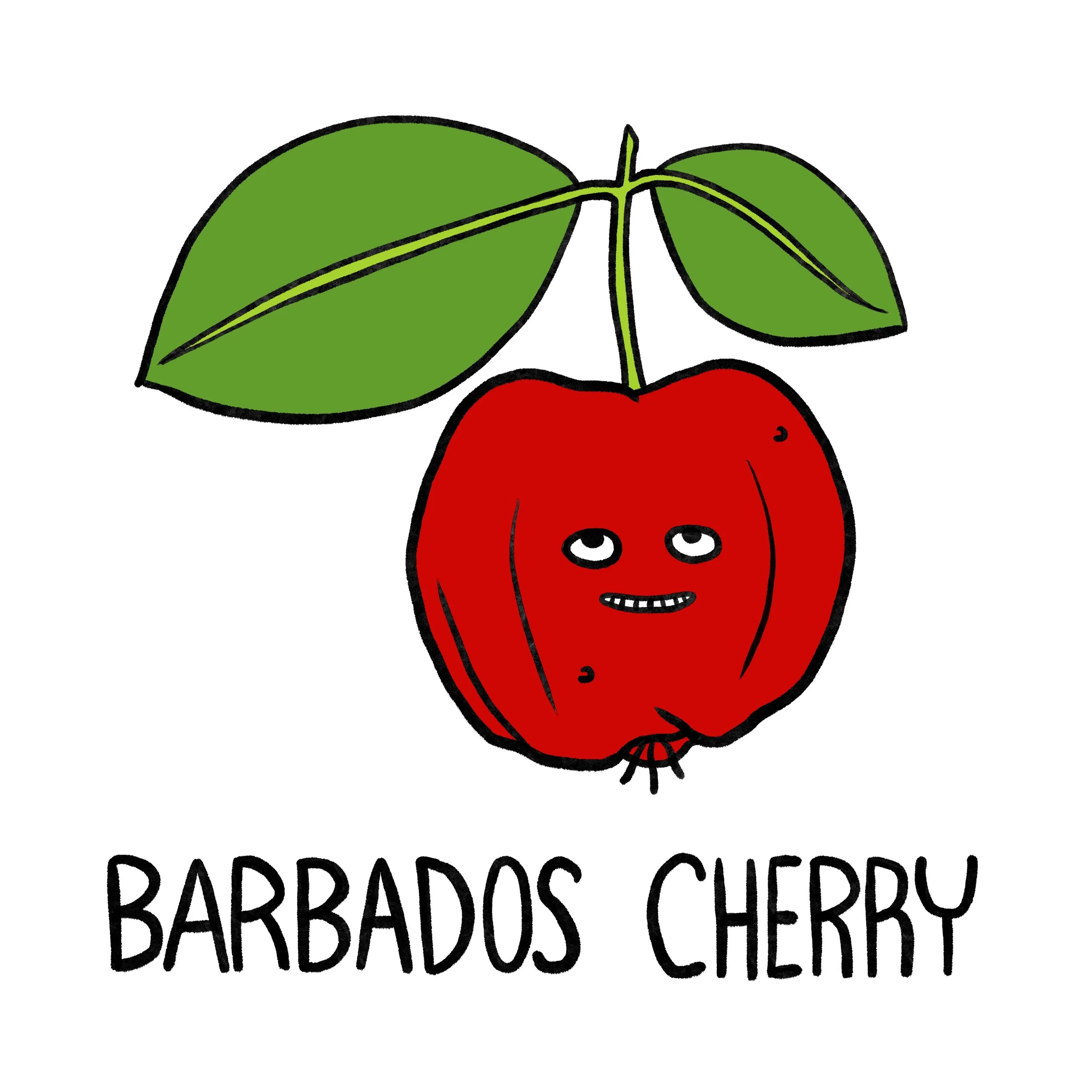 Barbados Cherry