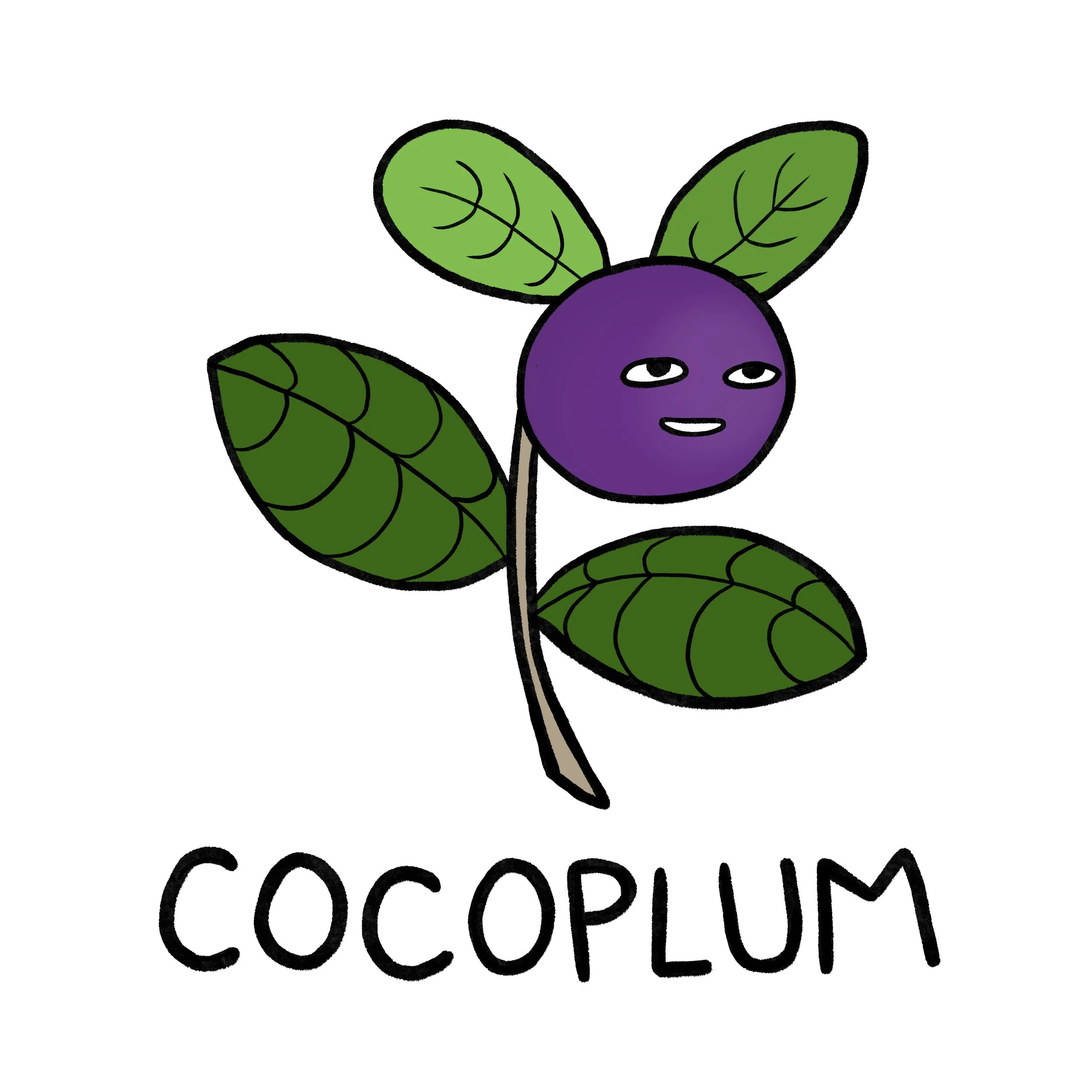 cocoplum.jpg