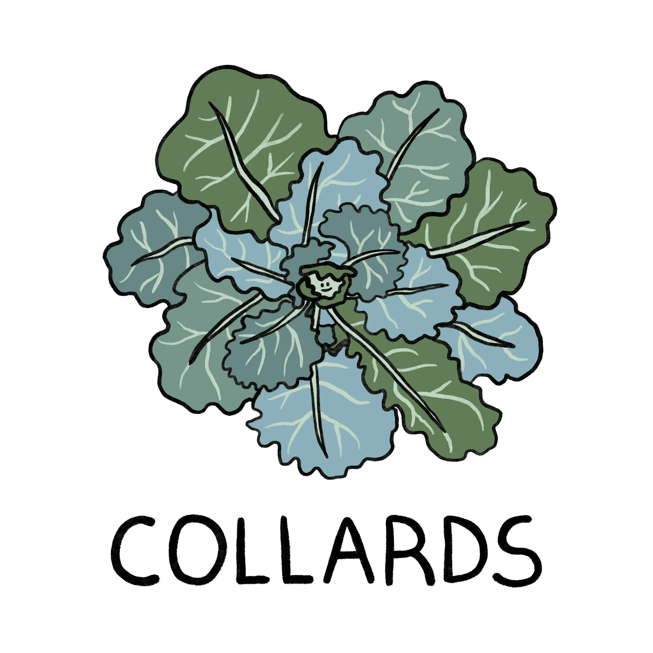 Collards