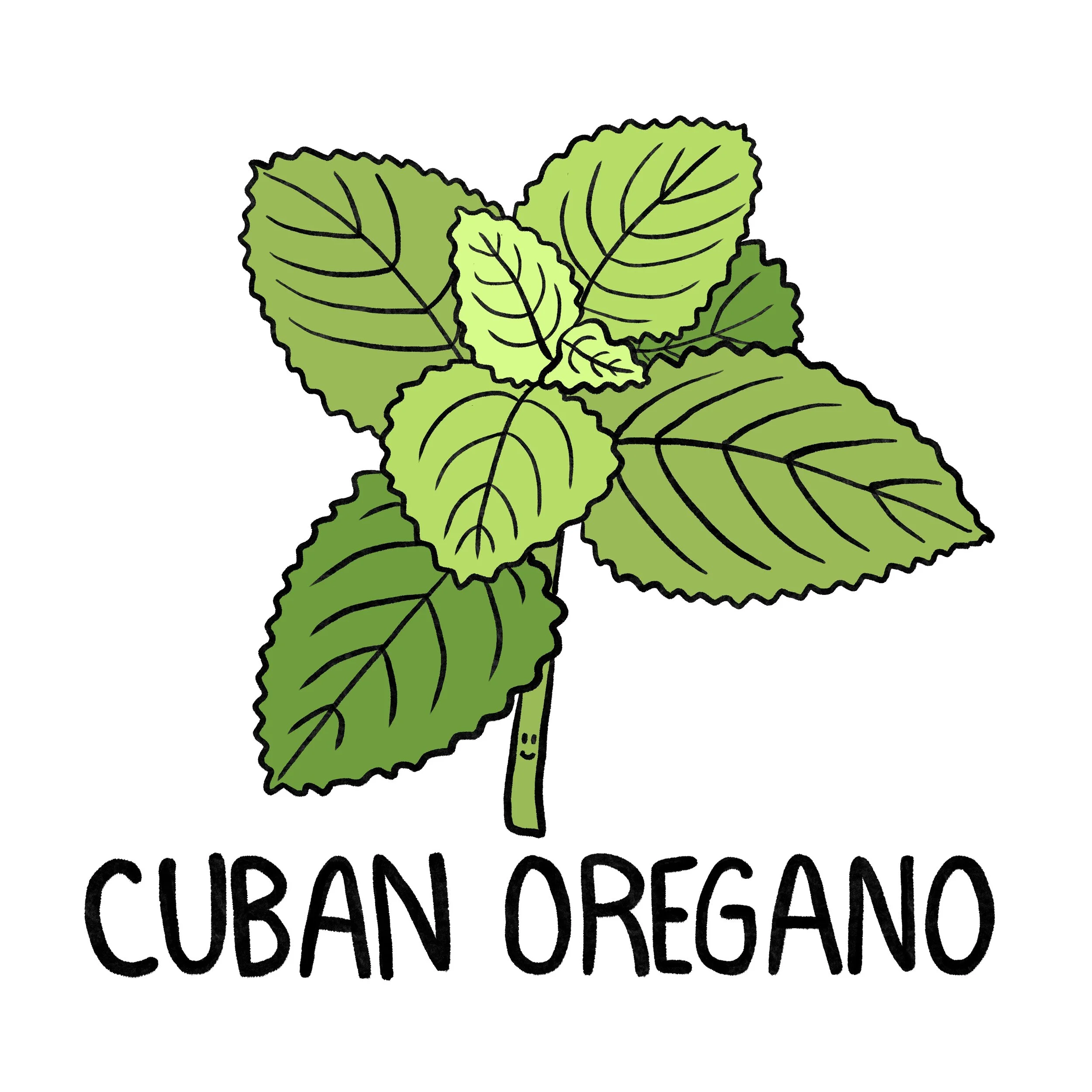 cubanoregano.jpg