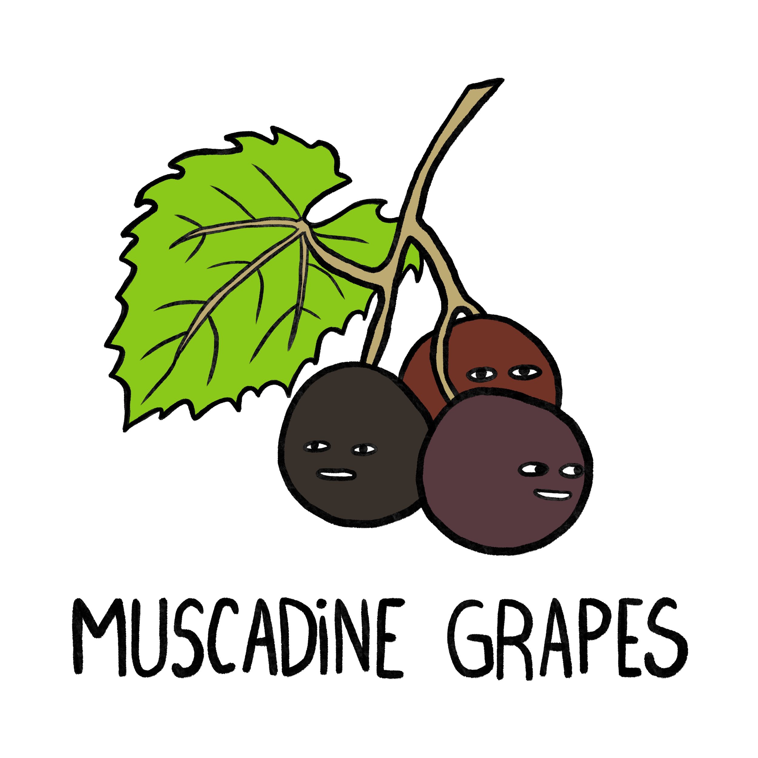 grapes.jpg