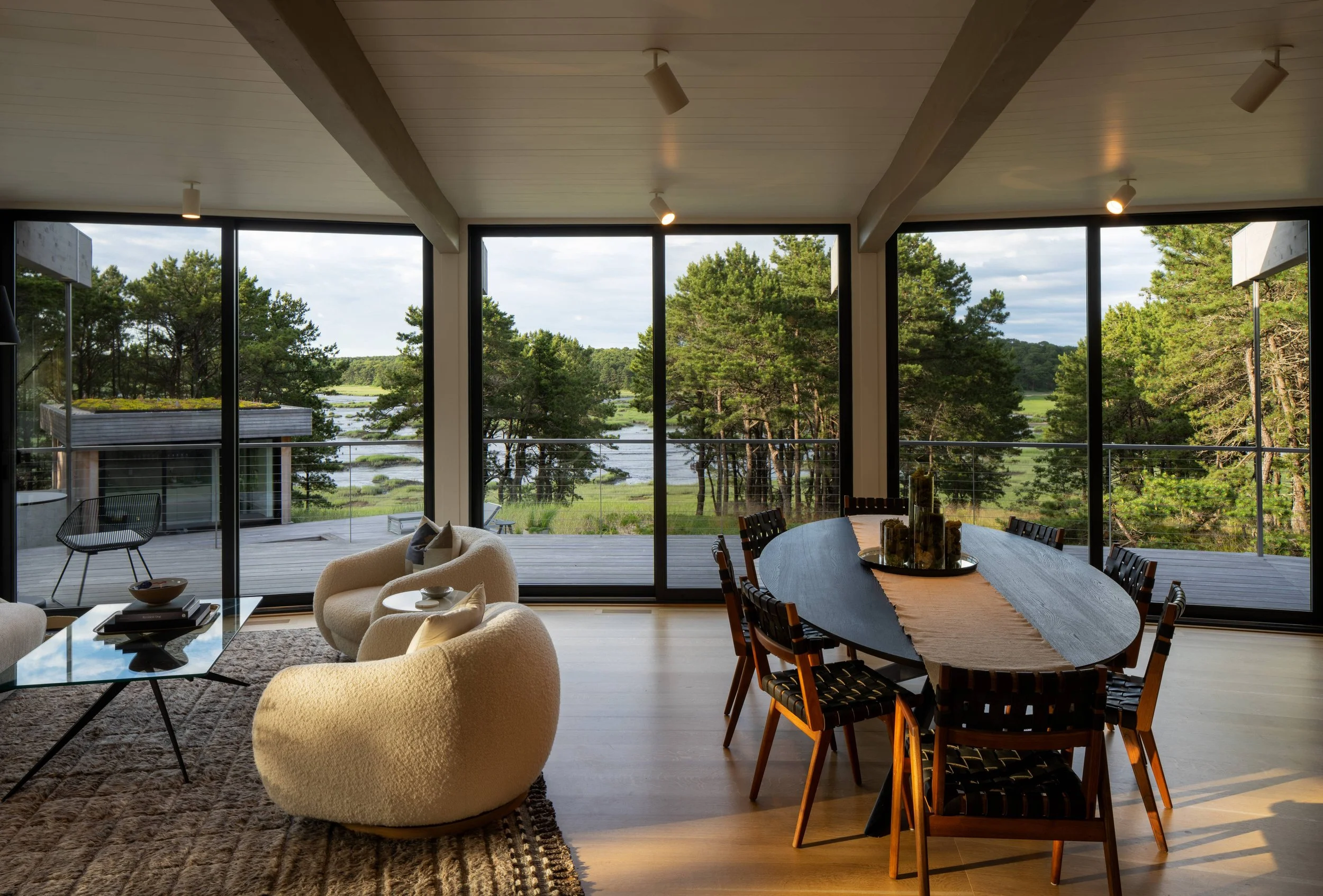 Nozar Unger Residence - Living View Out copy.jpg