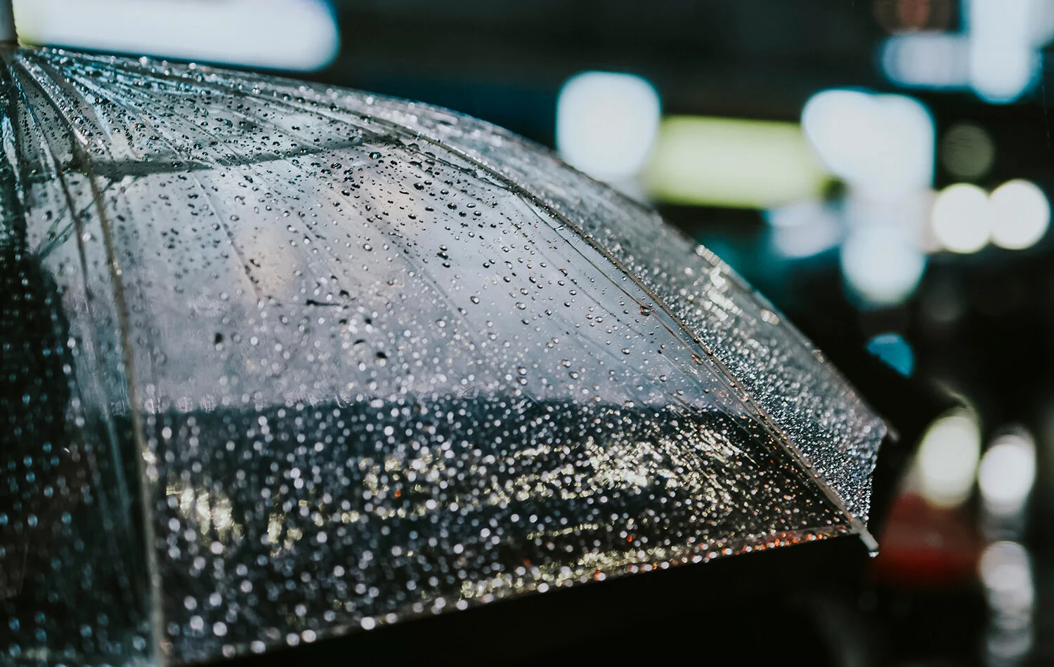 umbrella.jpg
