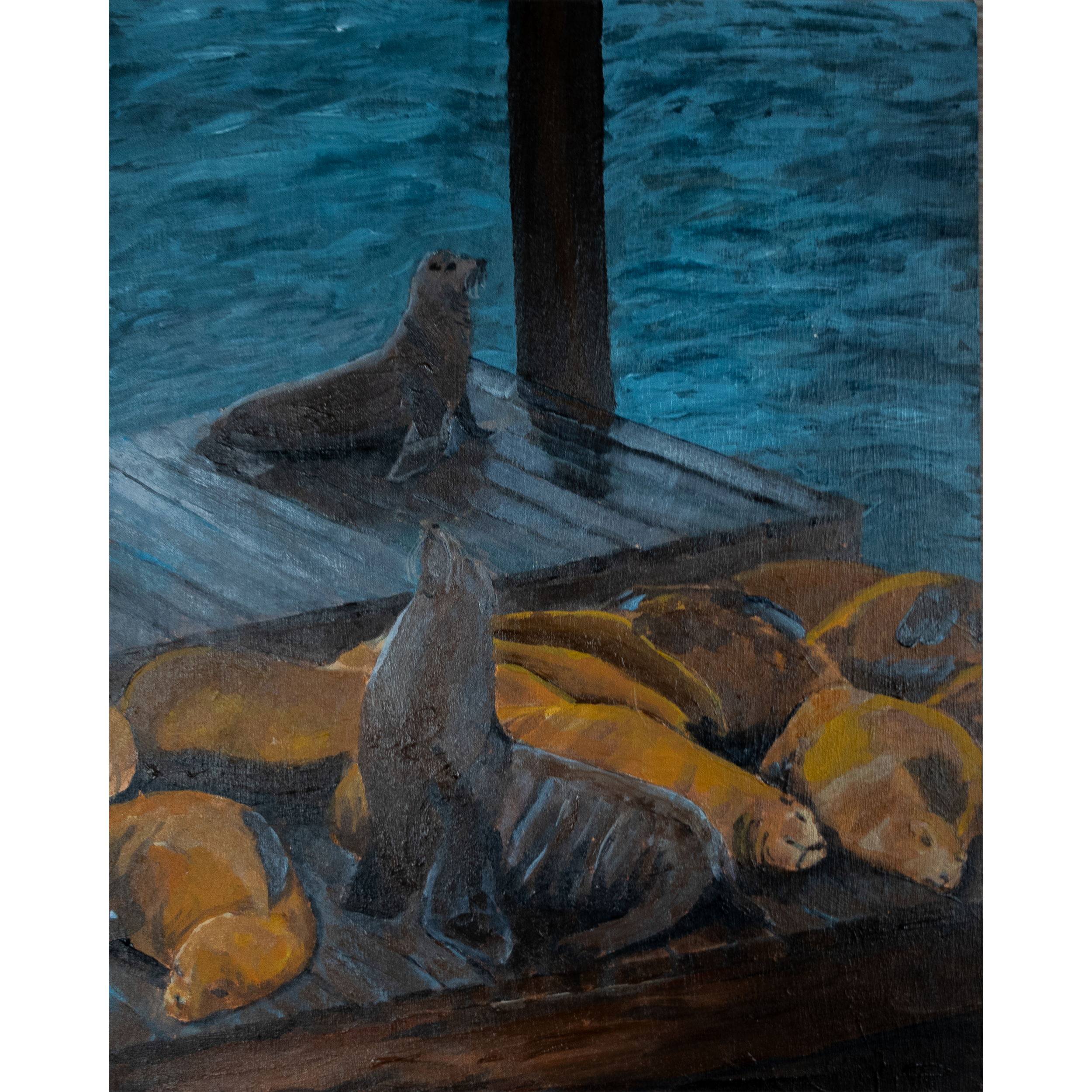 Pier 39 Sea Lions