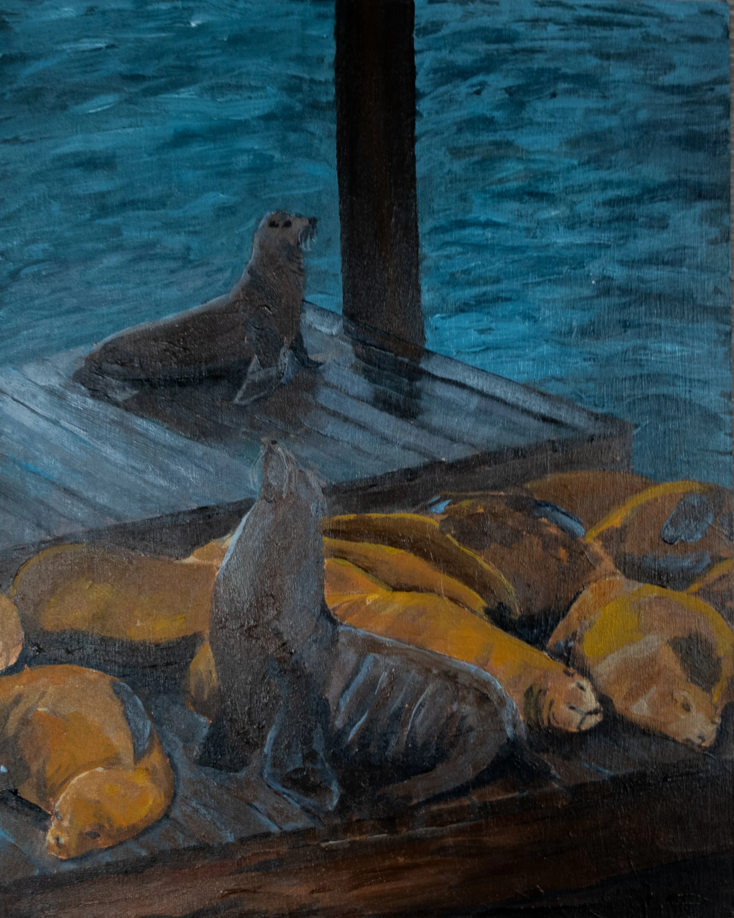 sealions.jpg