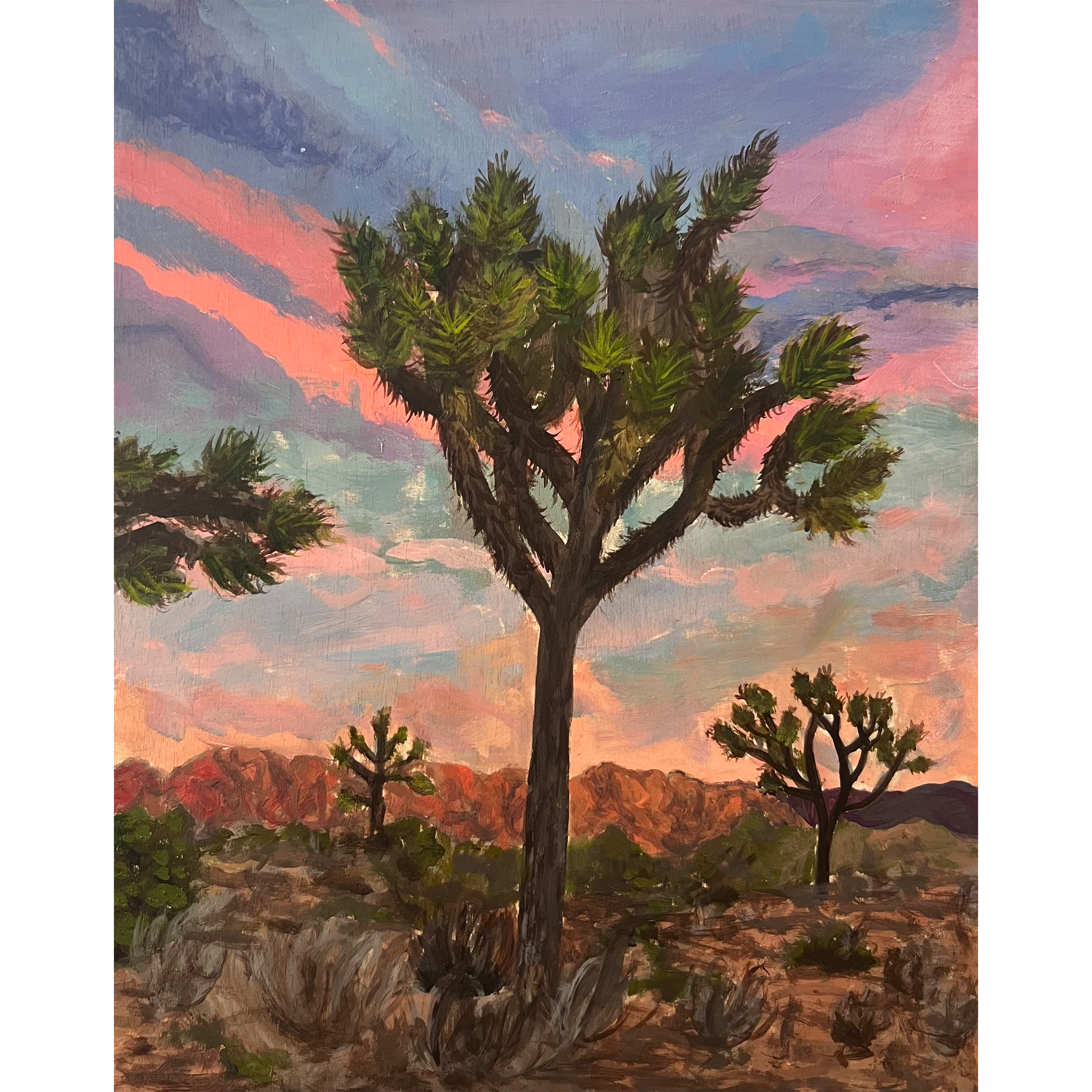 Joshua Tree