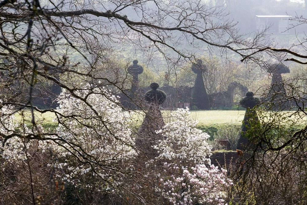 Blossom and yew topiary at Hanham Court in April