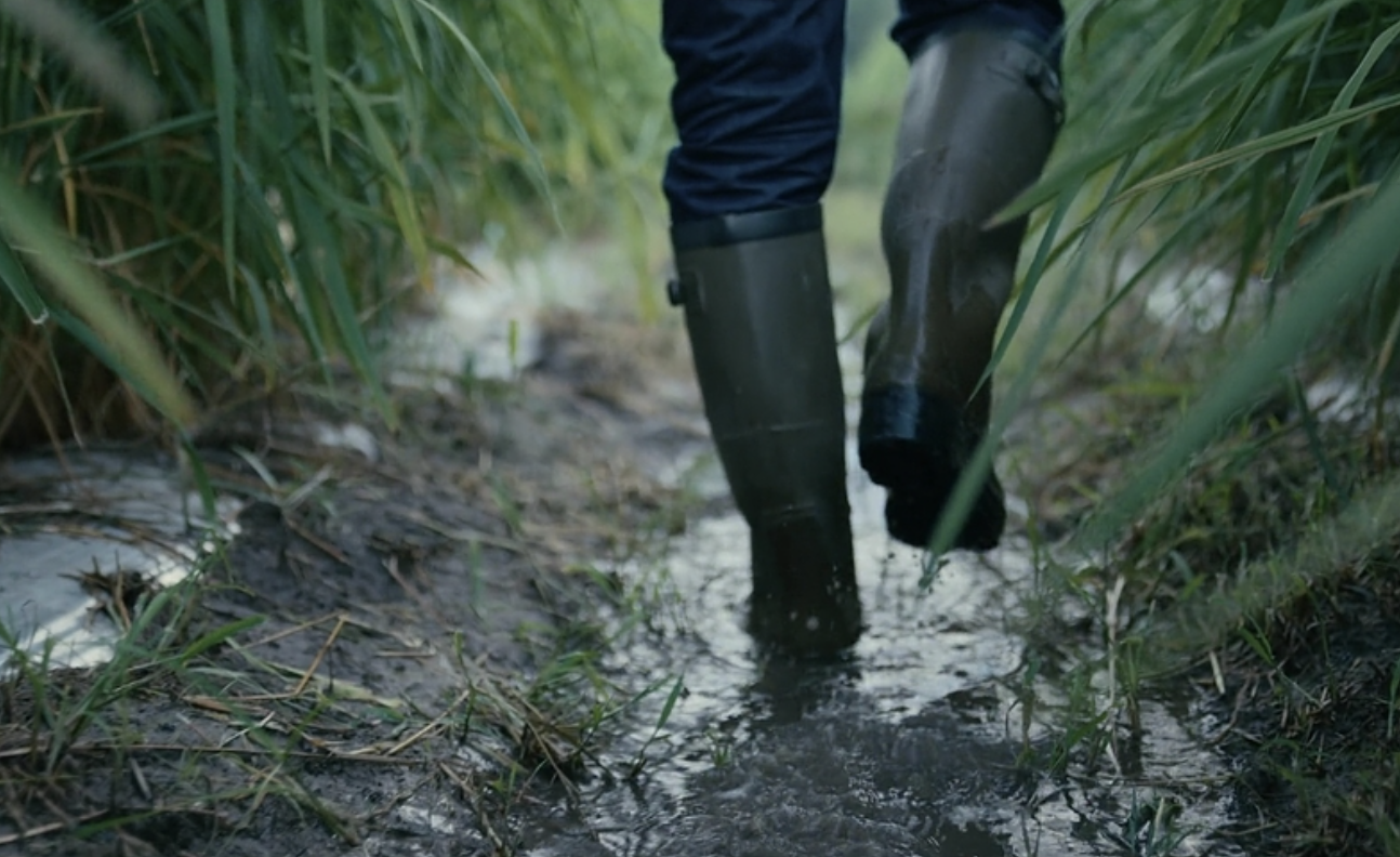 Screenshot 2026-01-04 at 10.24.01 PM.png