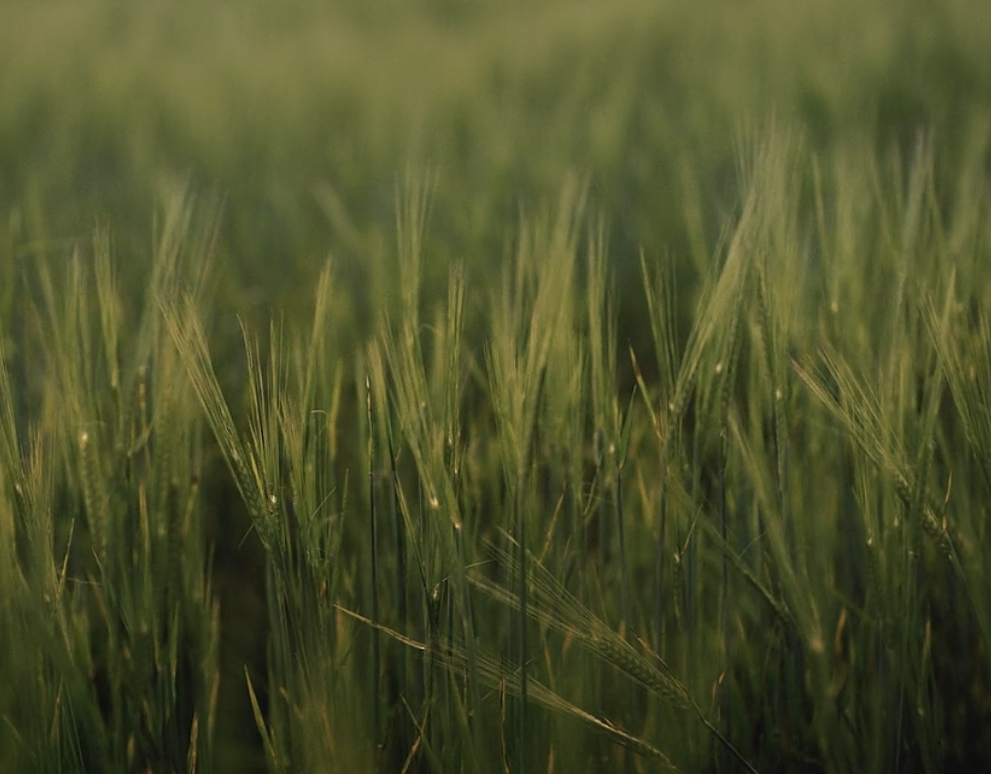 Screenshot 2026-01-04 at 10.15.04 PM.png