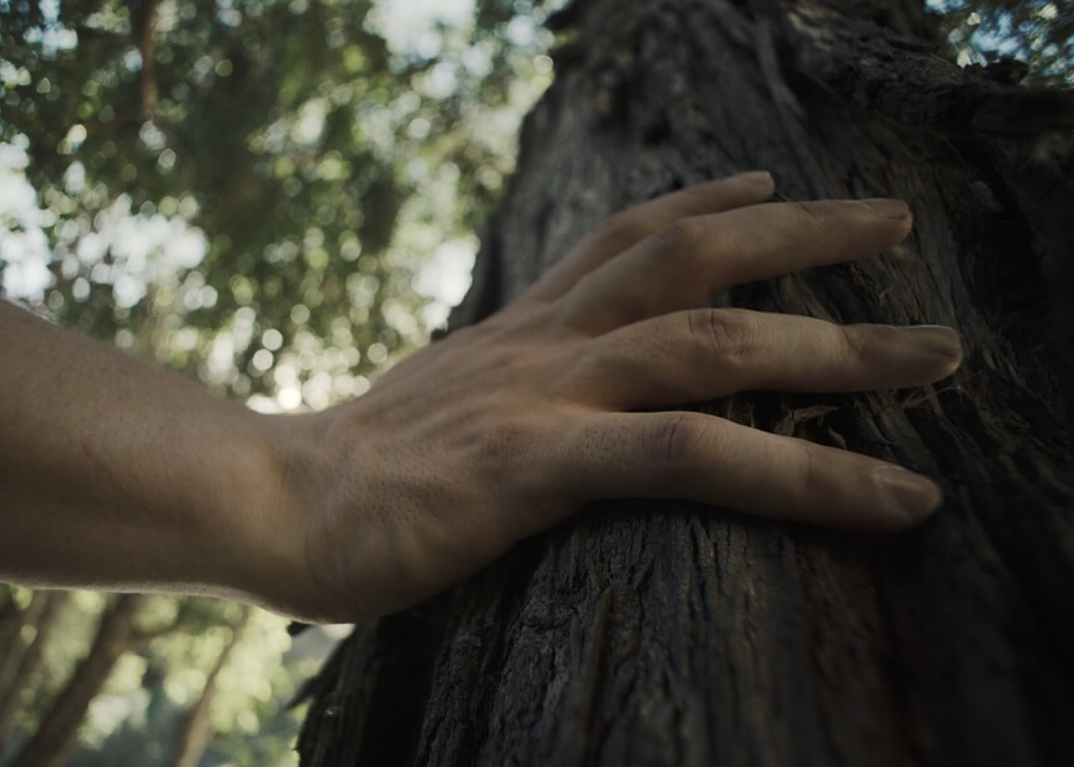 Screenshot 2026-01-04 at 10.17.55 PM.png