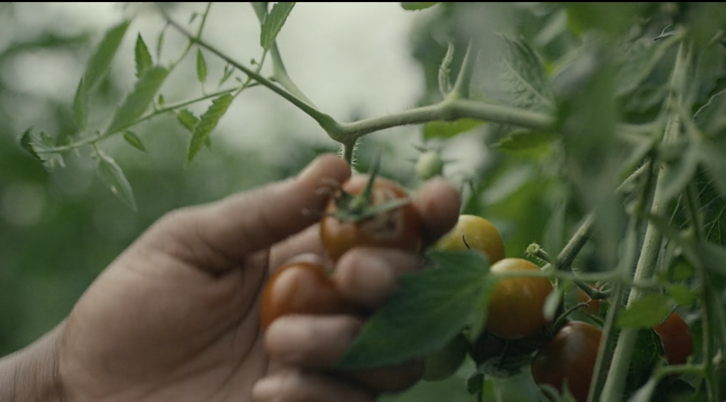 Screenshot 2026-01-04 at 10.16.11 PM.png