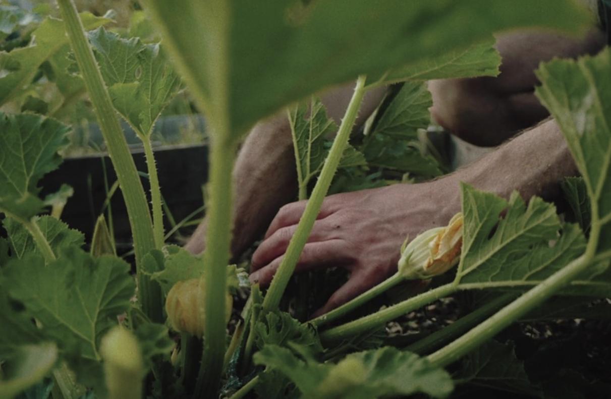 Screenshot 2026-01-04 at 10.16.24 PM.png