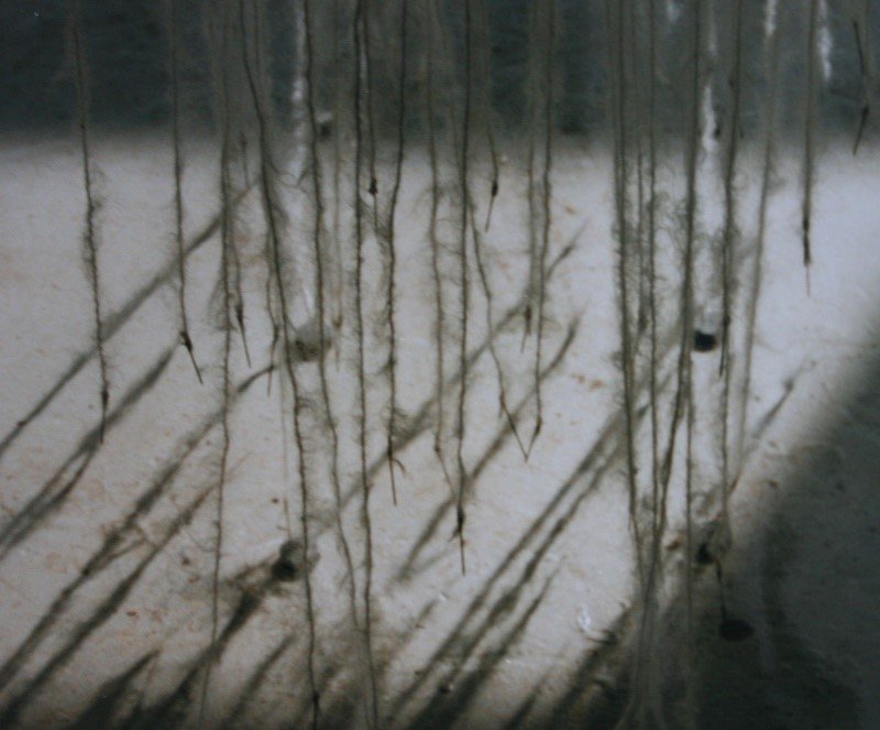 Picture34.jpg