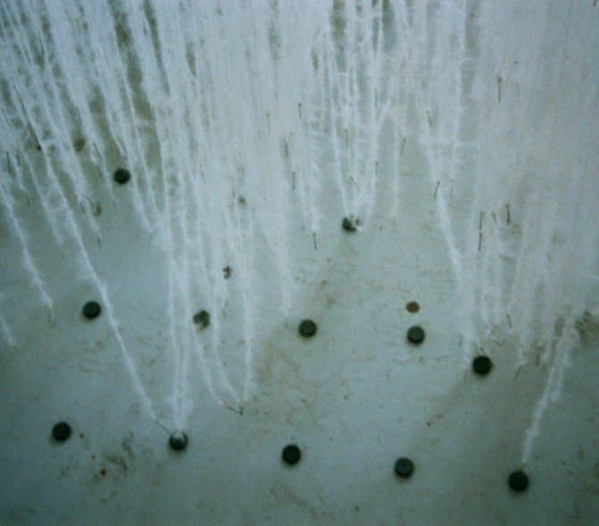 Picture35.jpg