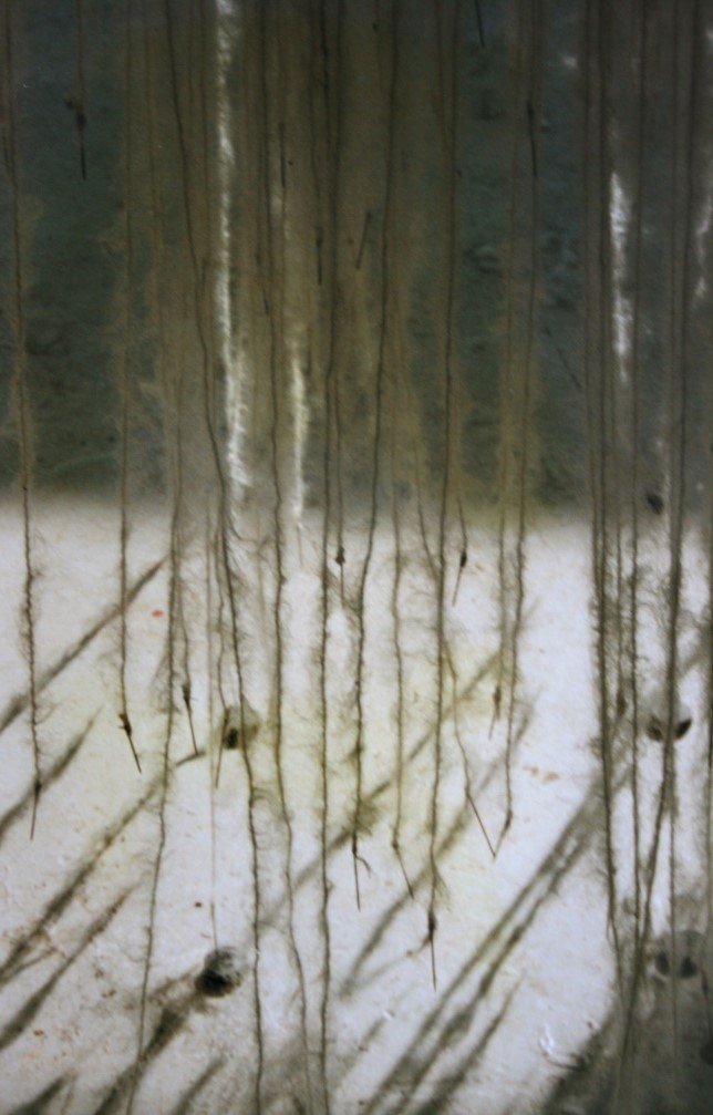 Picture33.jpg