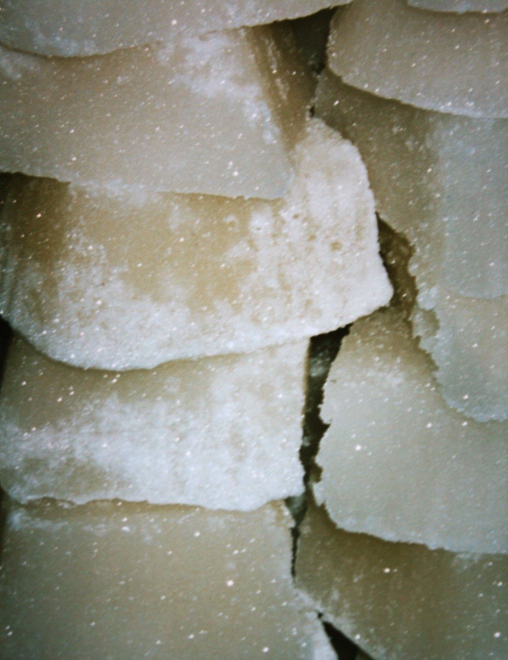 Picture31_1.jpg