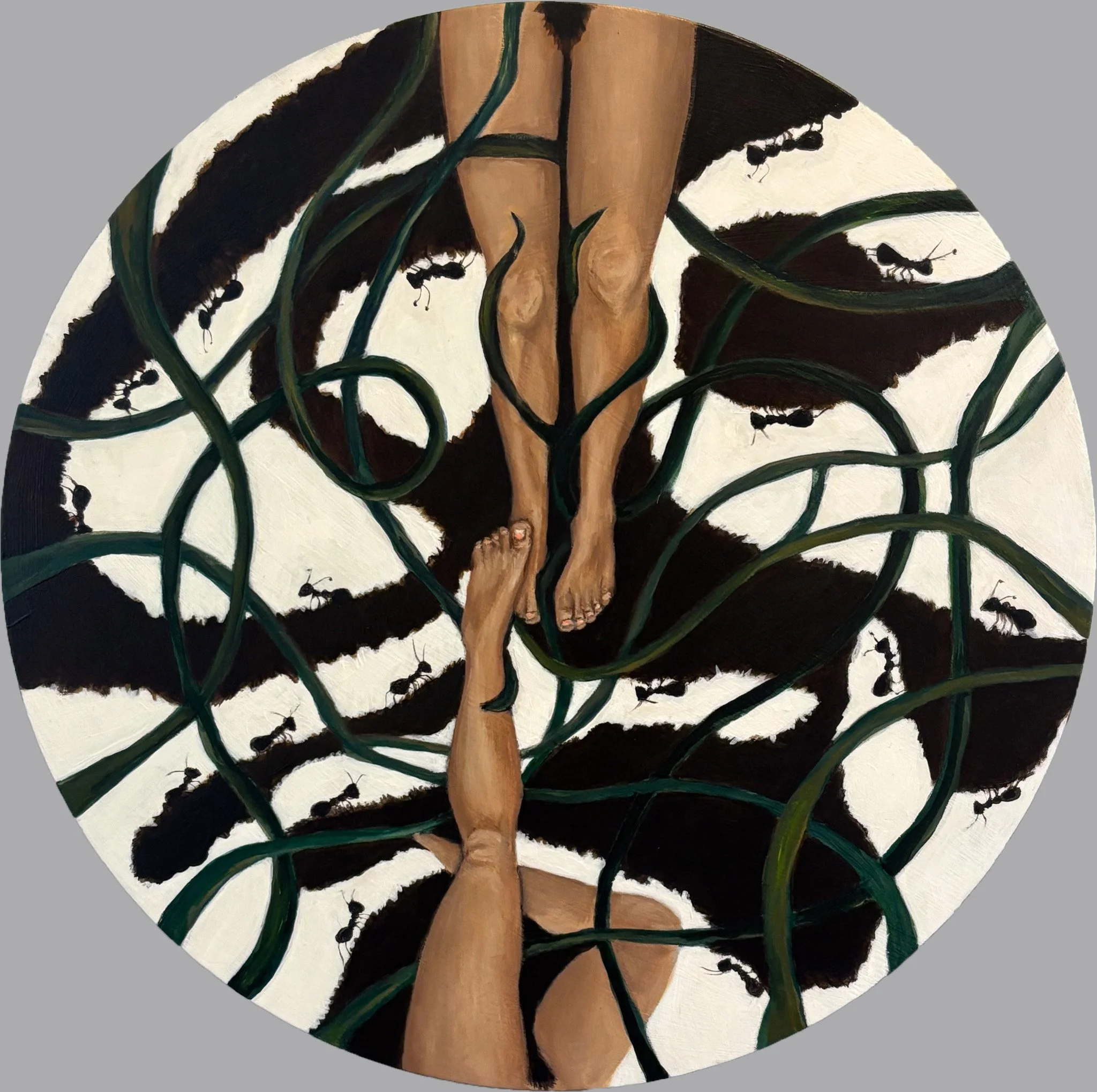 Hope in the Hollow,
Oil paint on wooden panel,
14 in. (round canvas) 
2025