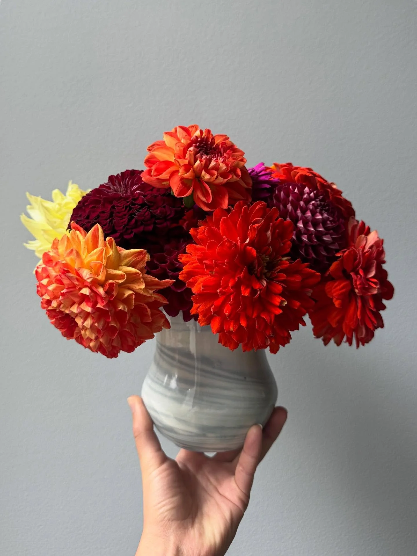 End of summer dahlias from the garden in two vases (one from 2014, one from 2023) #pottery #ceramics #gardenflowers