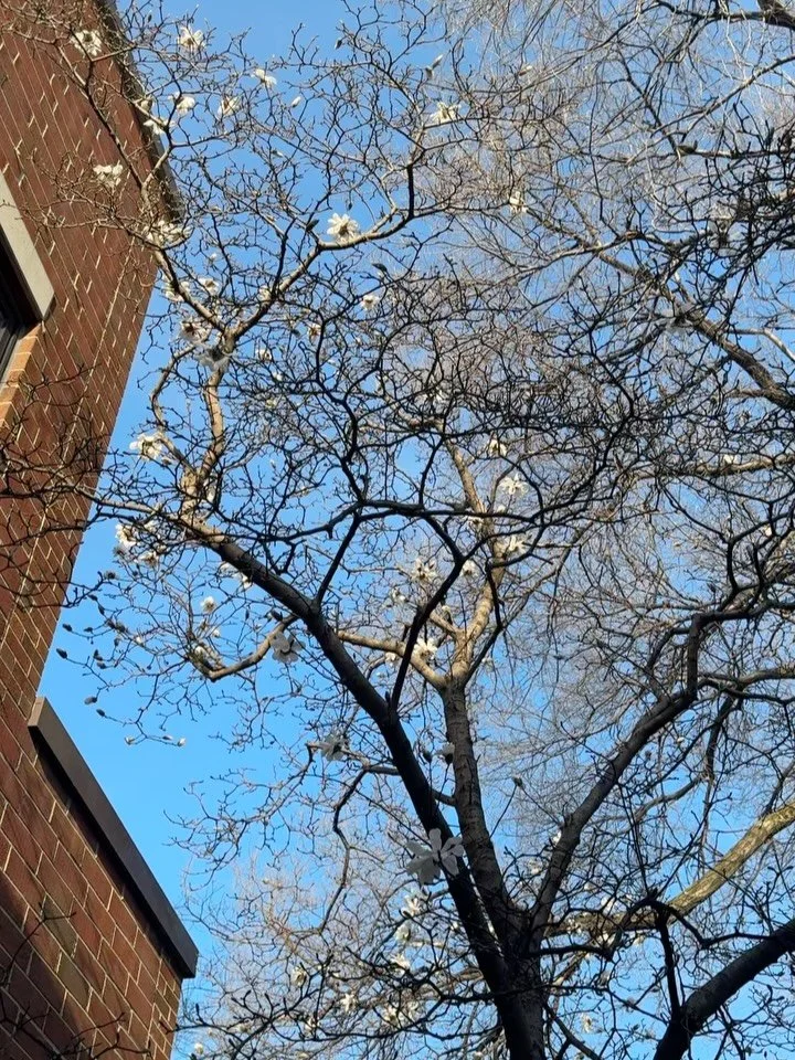 It&rsquo;s kinda spring but not really #pottery #ceramics