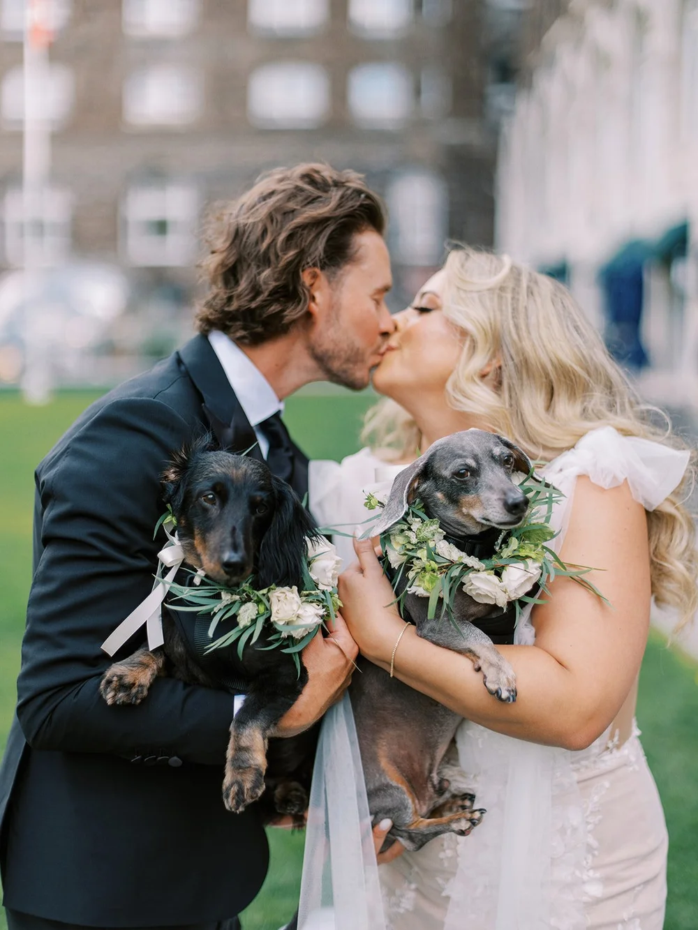 fairmont banff springs wedding with dogs
